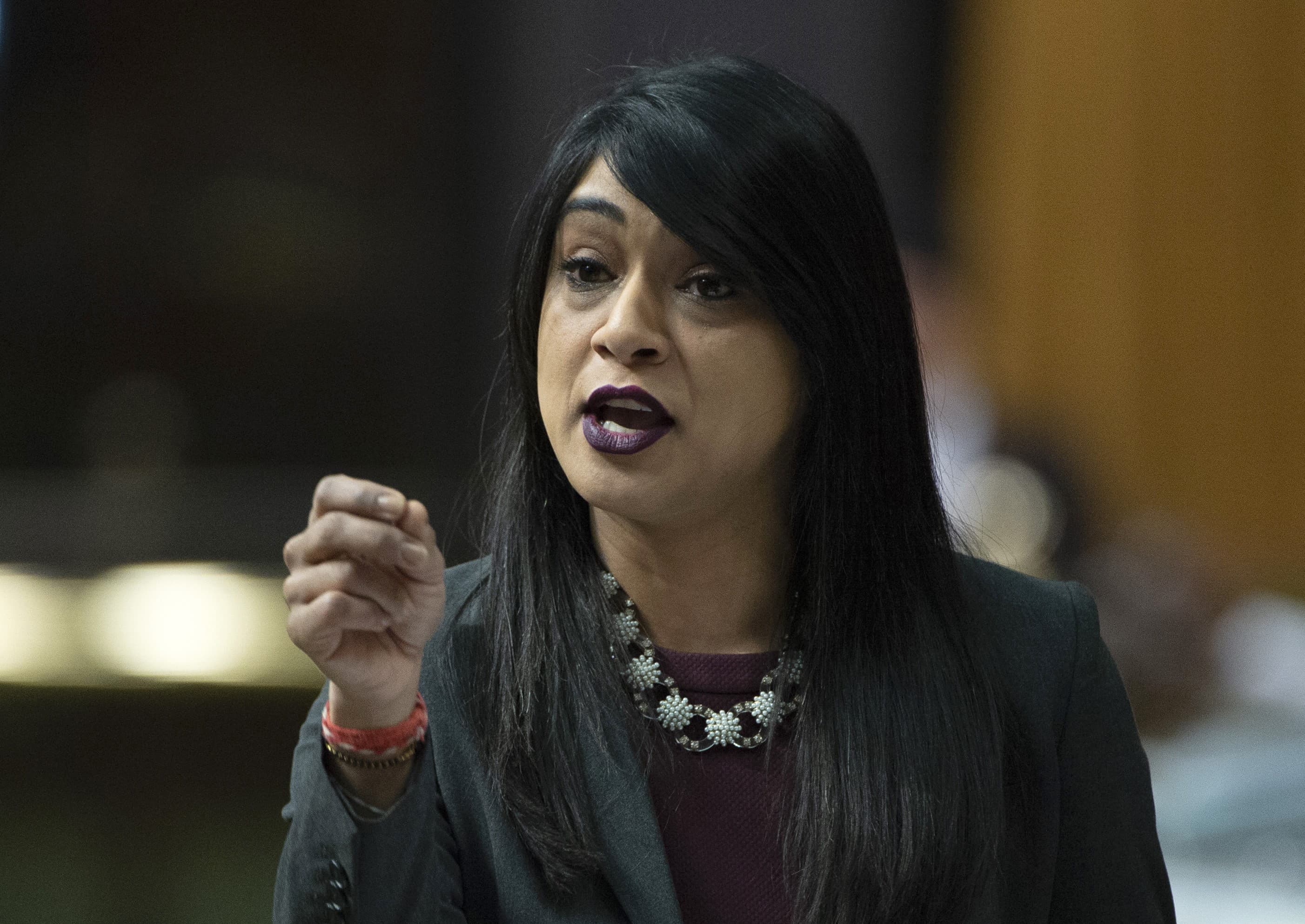 A parliamentary committee hopes to demystify the WE deal