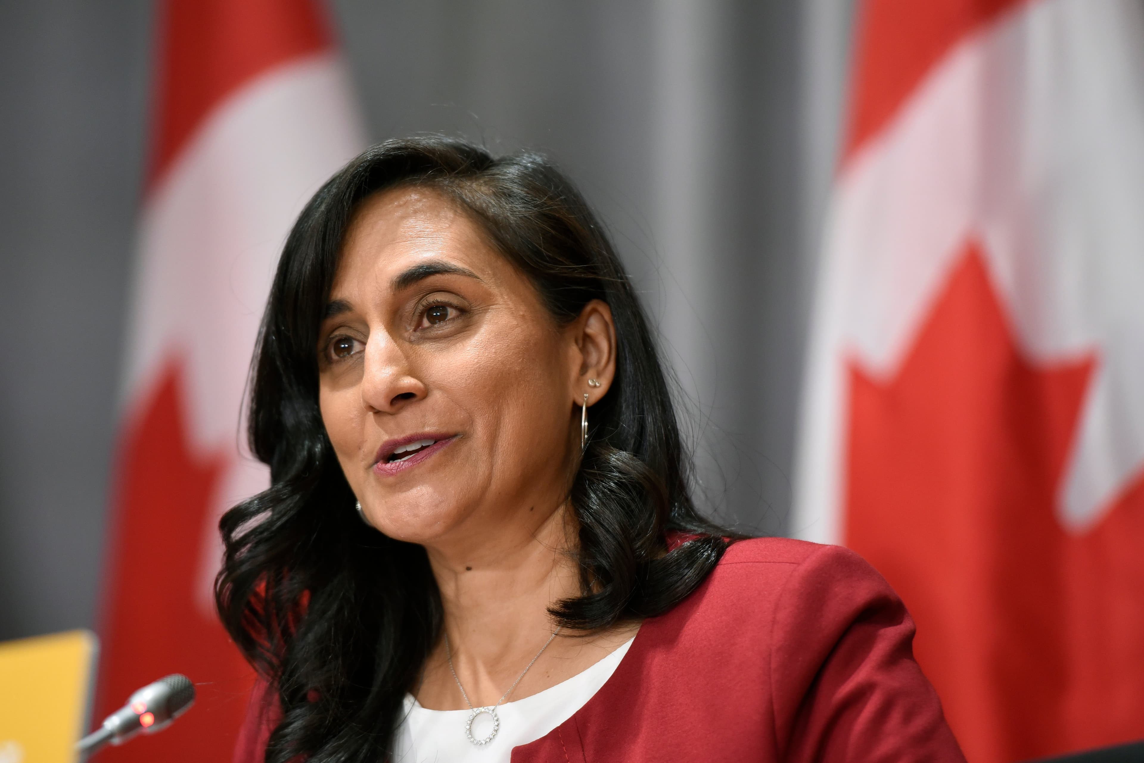 Ottawa moves on rapid COVID testing. But antigen tests aren't here yet.