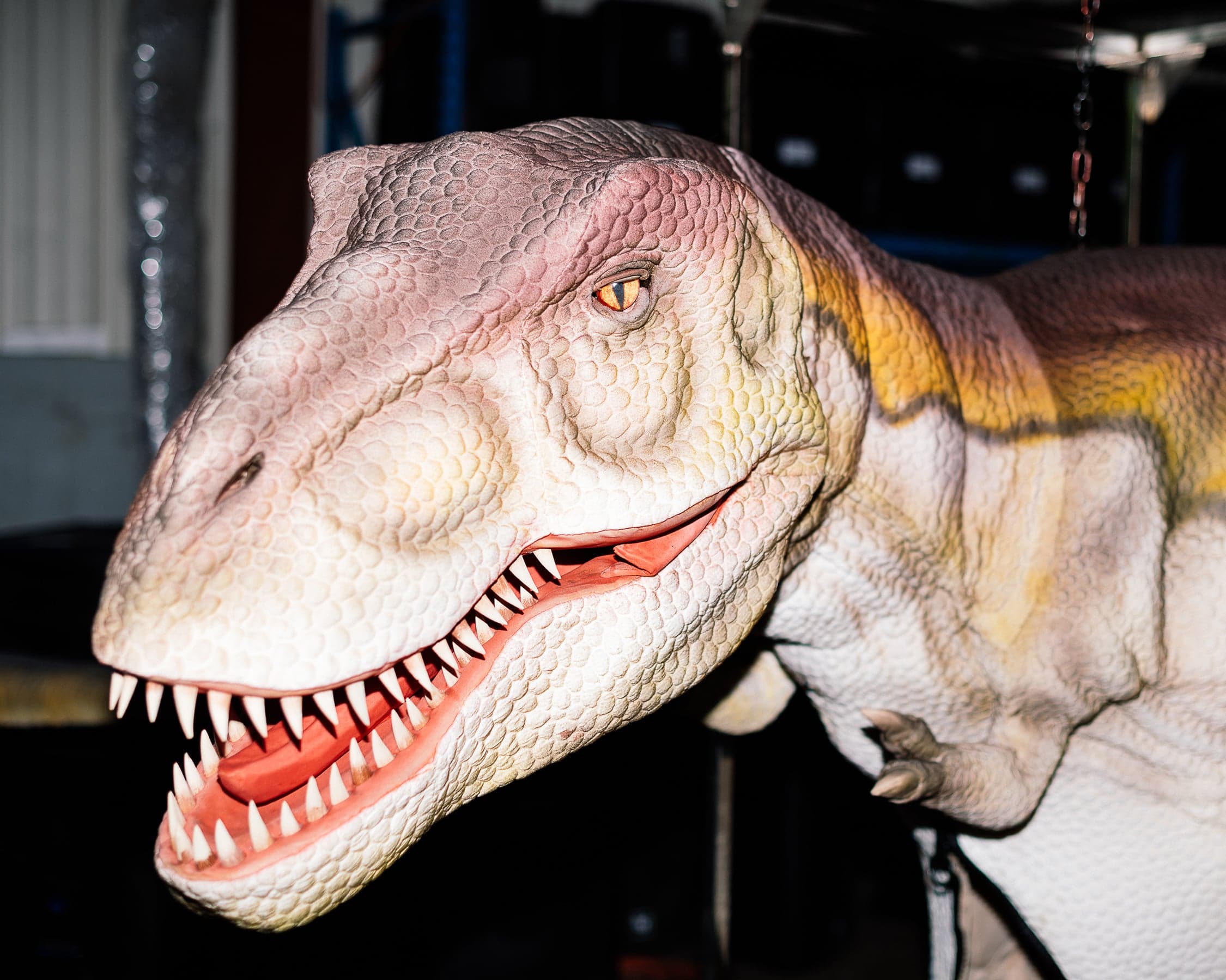 That time life-sized, animatronic dinosaurs were on auction in Langley, B.C.