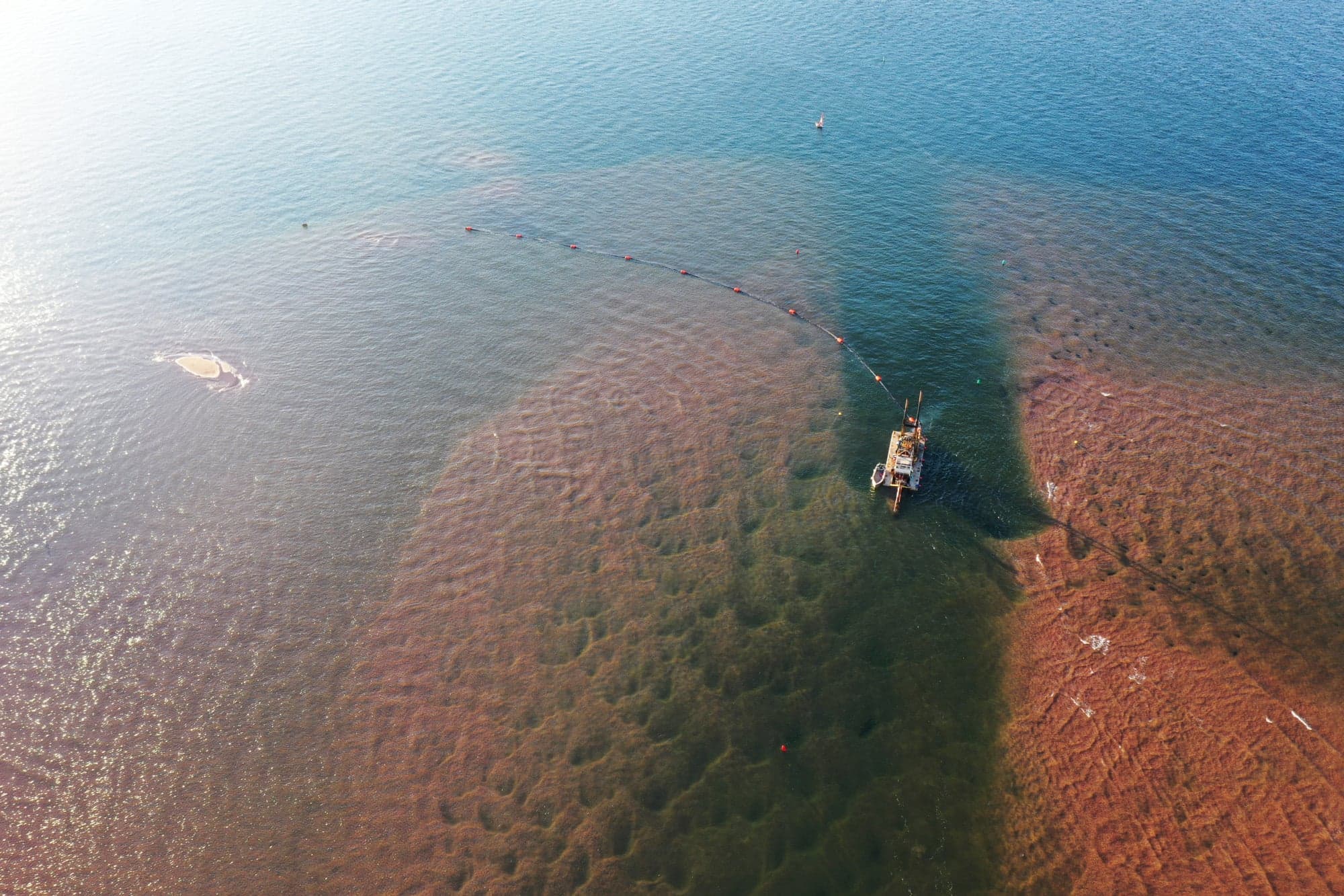 P.E.I. lobster fishers risk it all just to leave their harbour. And they're fed up.
