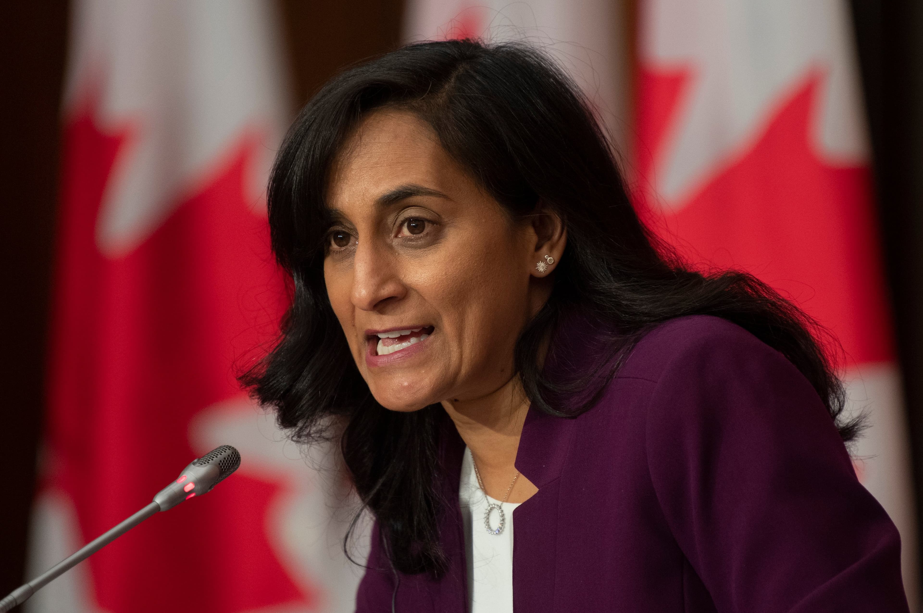 Anita Anand: Minister of Good News