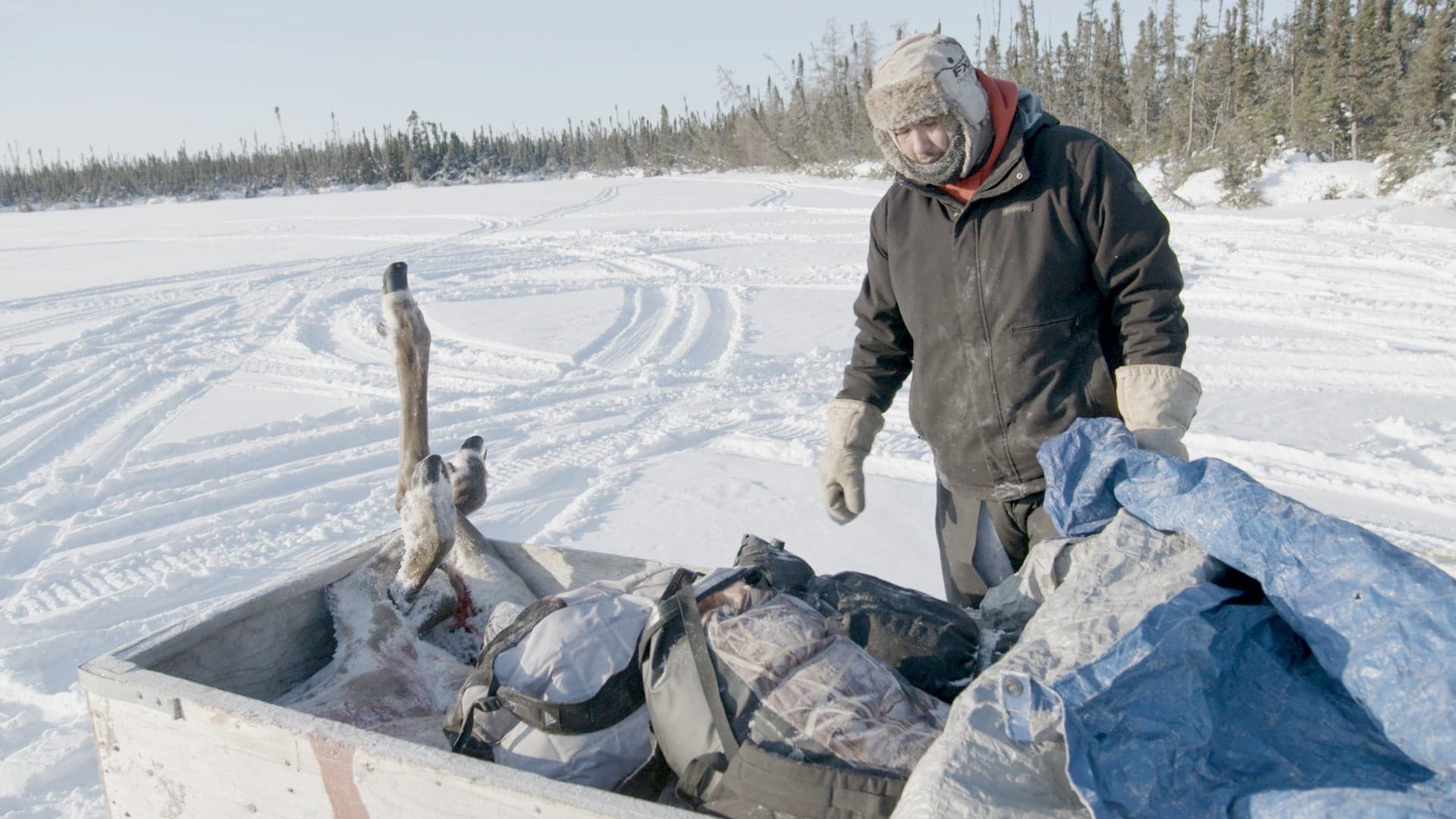 Canada's climate-change inaction violates Indigenous human rights: report