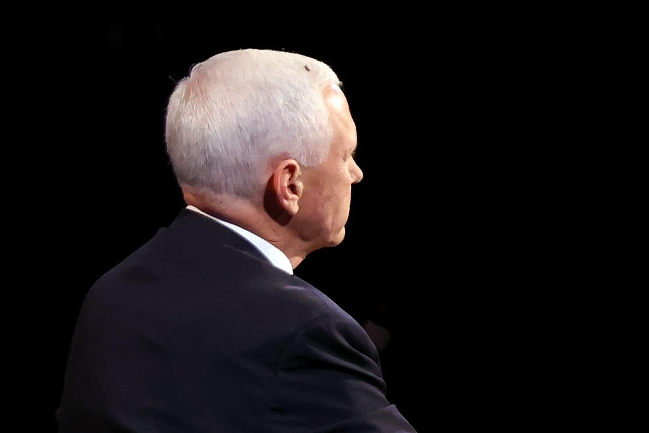 The fly on Mike Pence's head was the tiny hero we deserved
