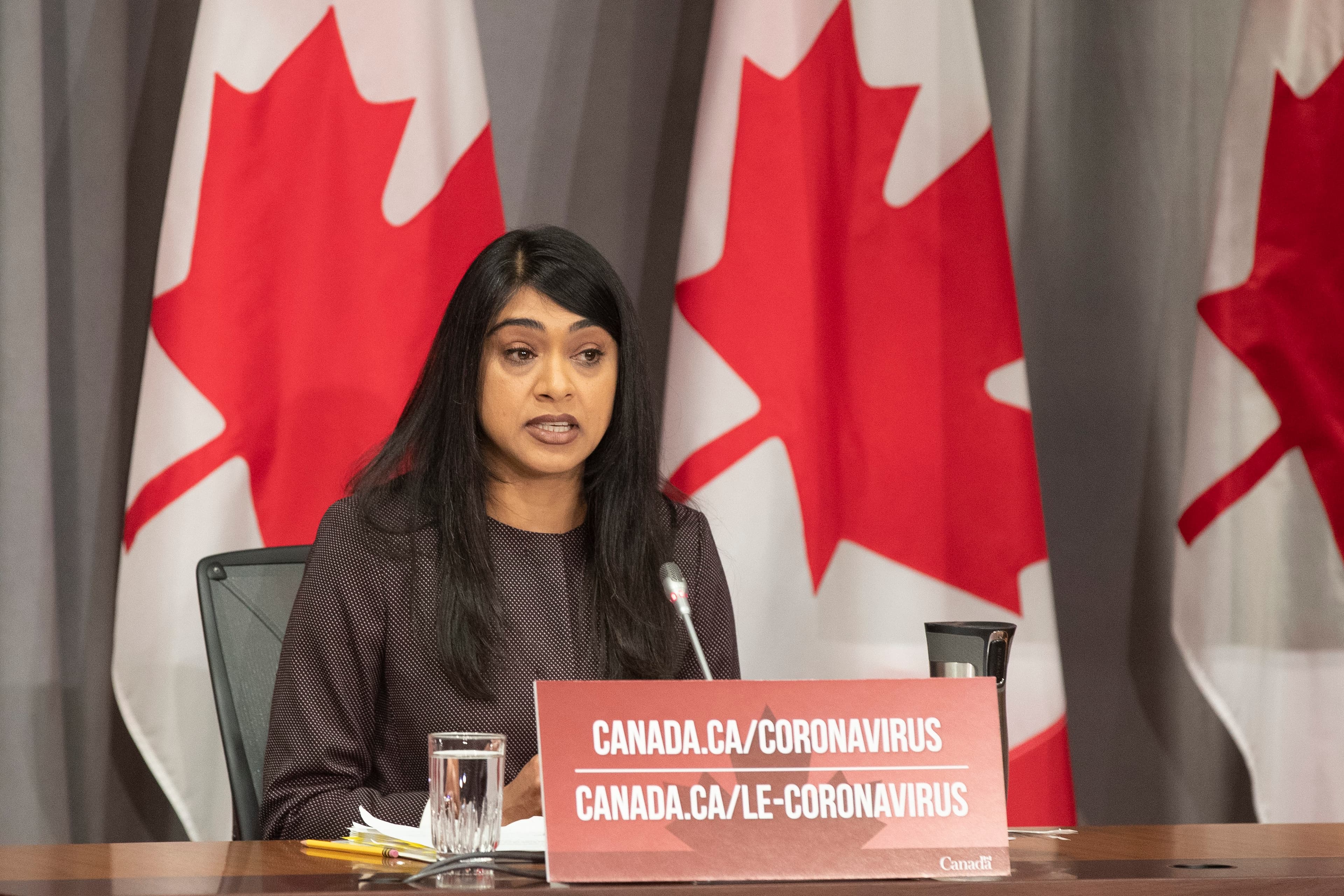Bardish Chagger reflects on a tumultuous 2020 in Ottawa