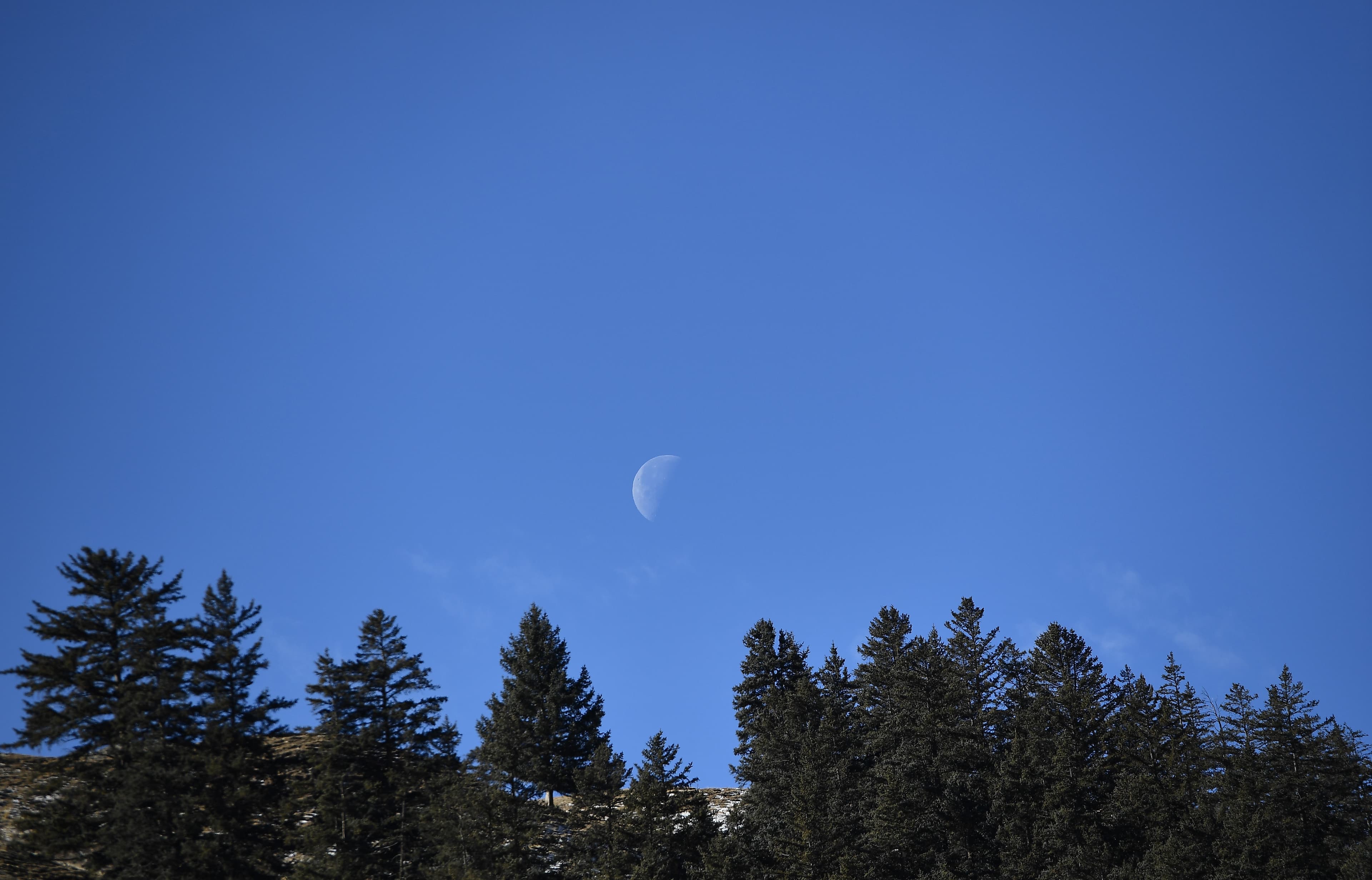 Canada is planning for a literal moonshot as soon as 2023