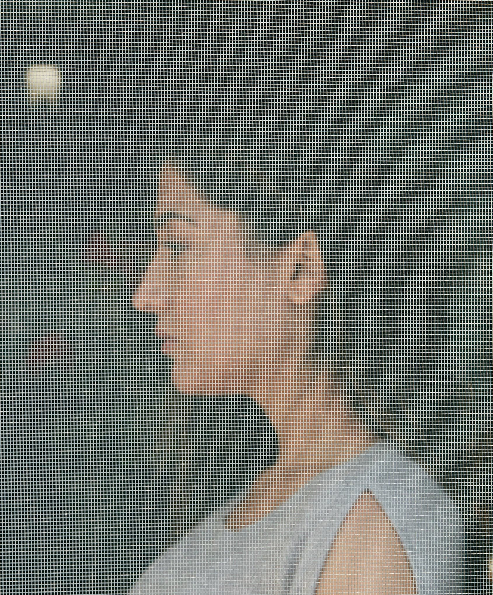 The COVID cocoon: Meet the people who transformed themselves during lockdown