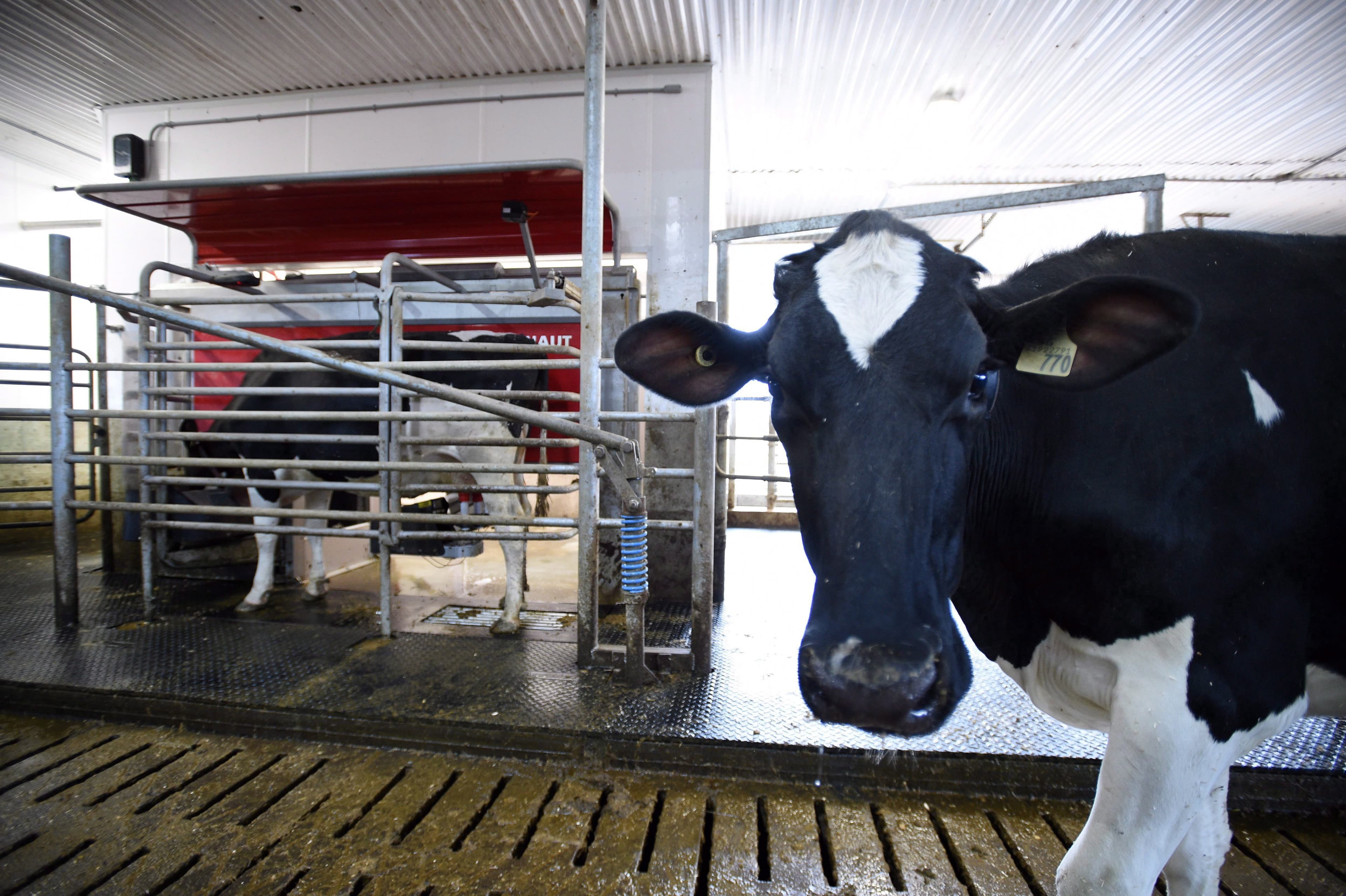 Why Canada should keep supply management off the table in future trade talks