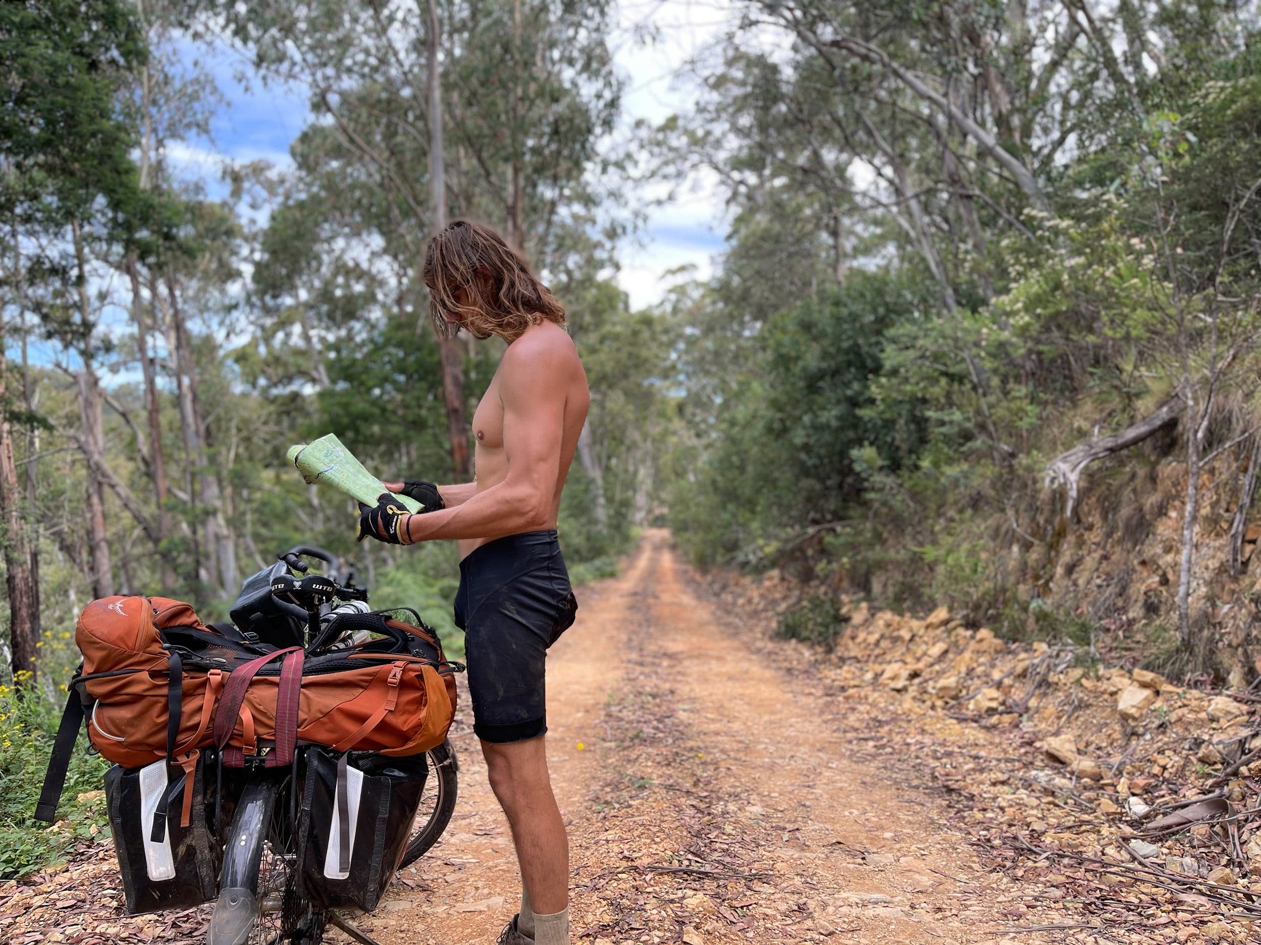 Into the bush
