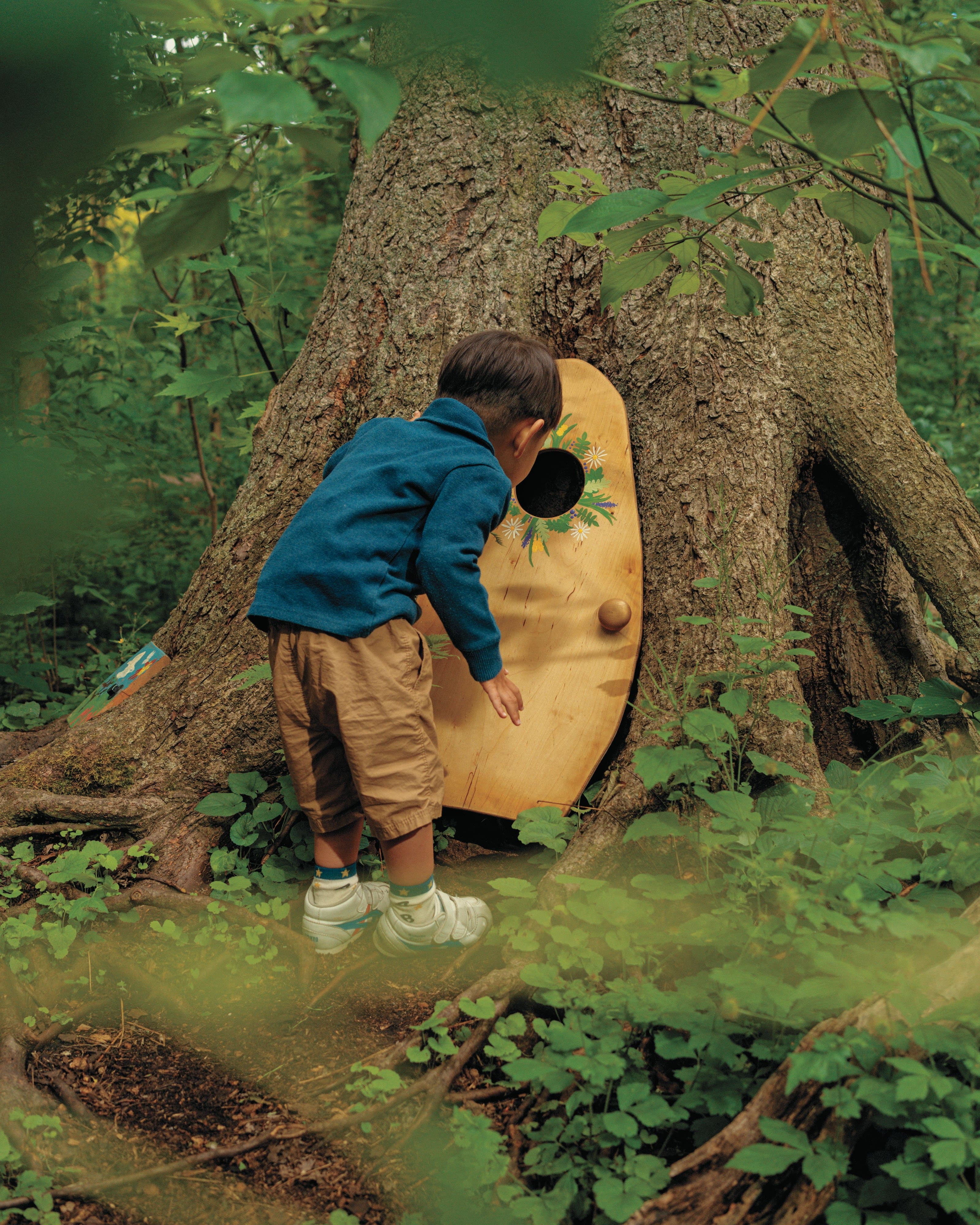 Have Guelph's delightful ‘fairy doors’ become a forest plague?
