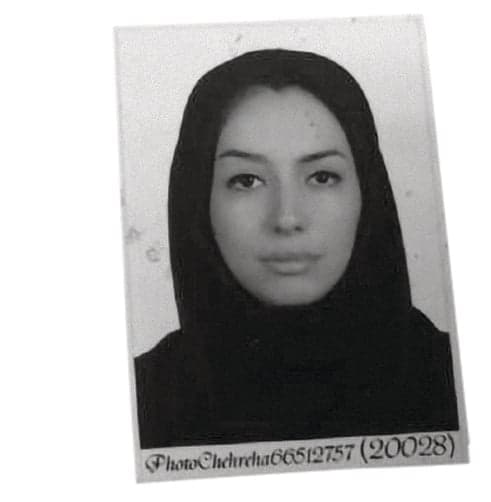 Image of Mahnaz Alizadeh from page 169 of the Brazilian police processing document.
