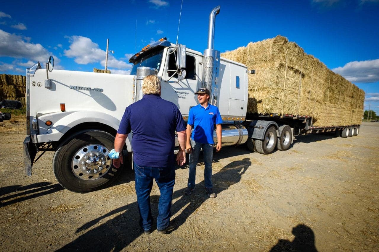 Doug Ford is out to pasture—at least until election day