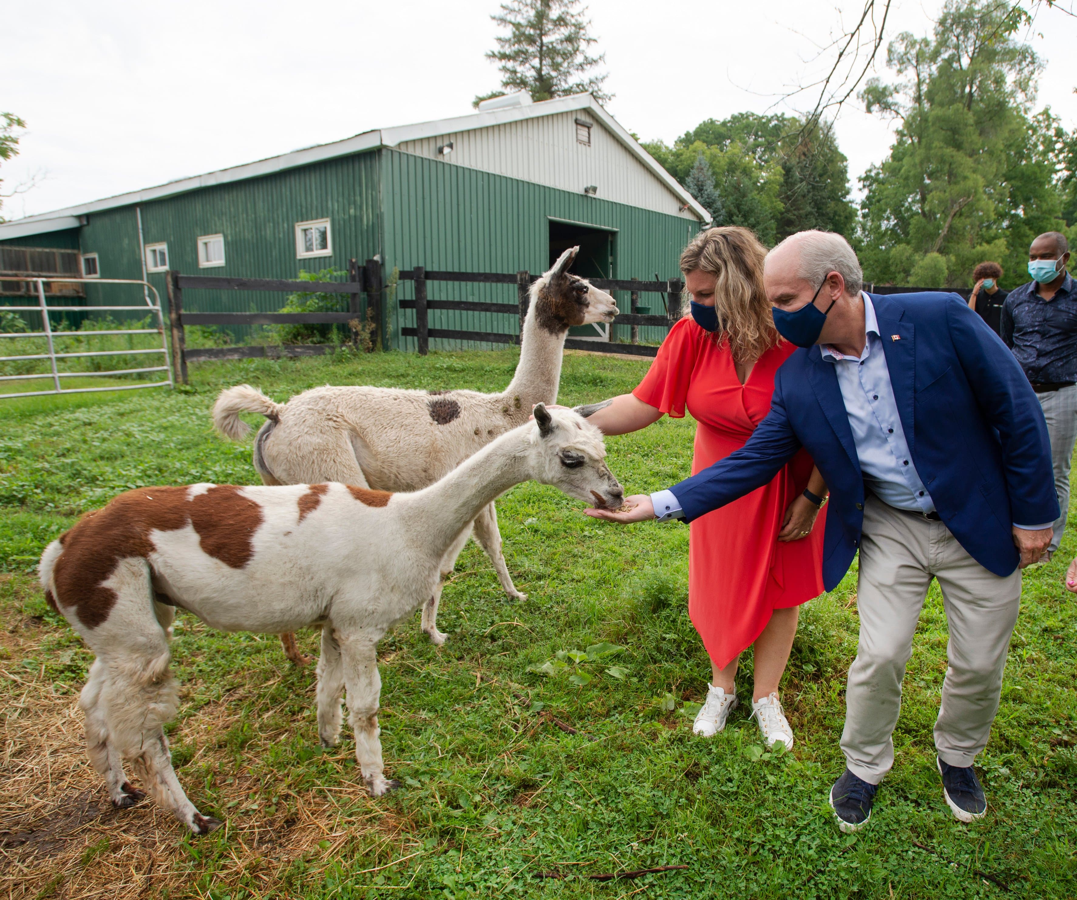 Federal election 2021: What the polls are saying at the halfway mark
