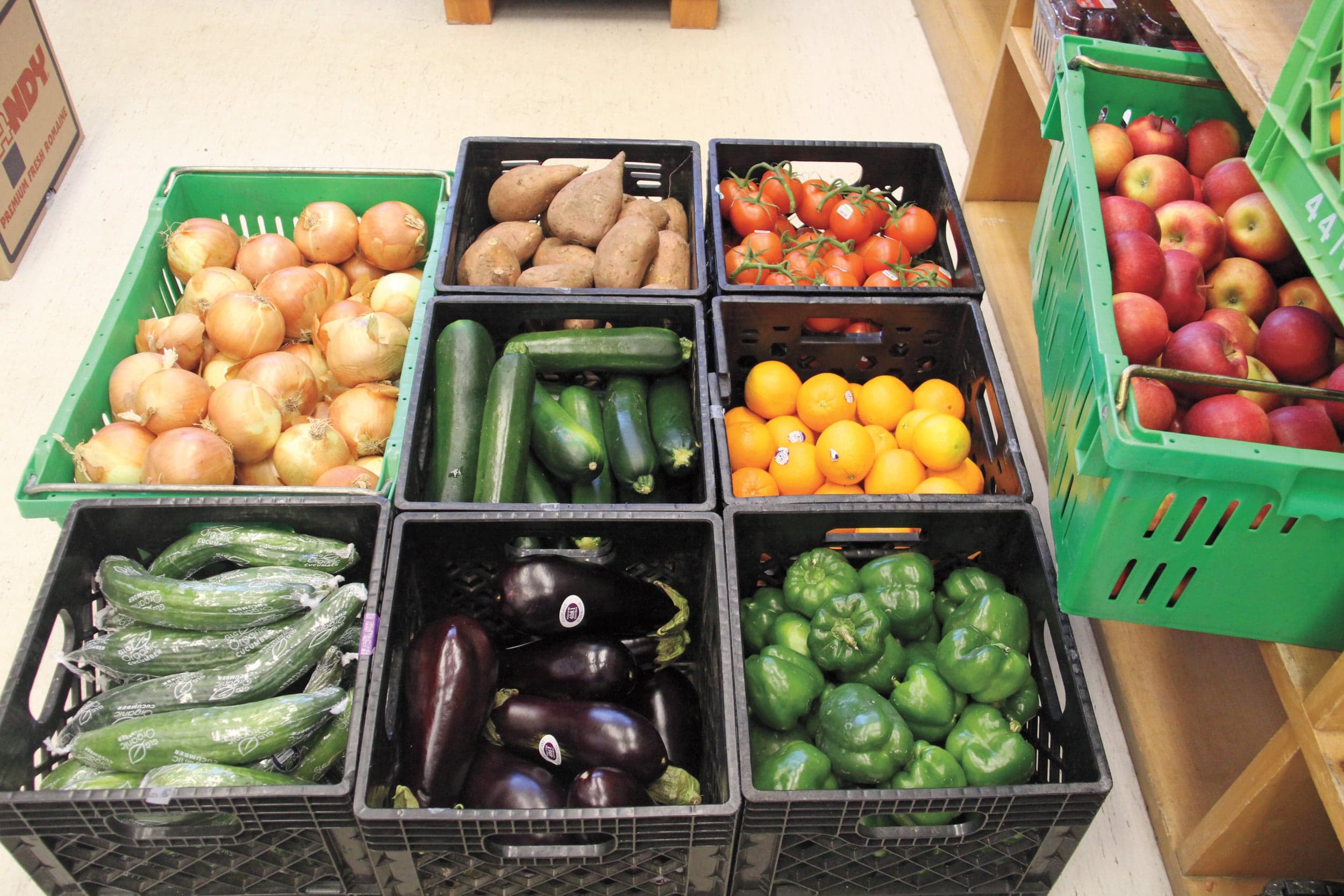 The Fight to End Hunger on Canadian University Campuses