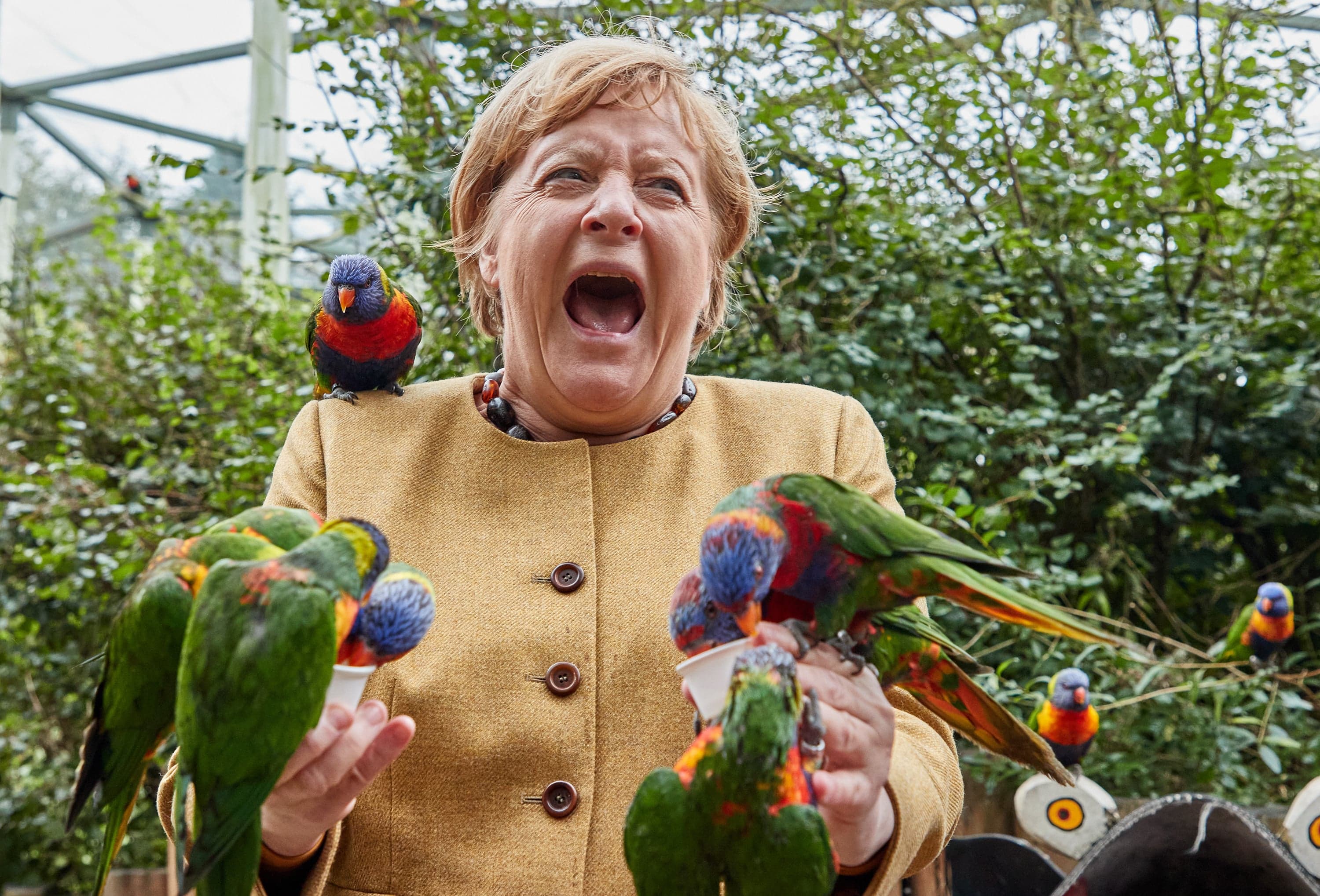 Auf Wiedersehen, Angela Merkel. Goodbye.