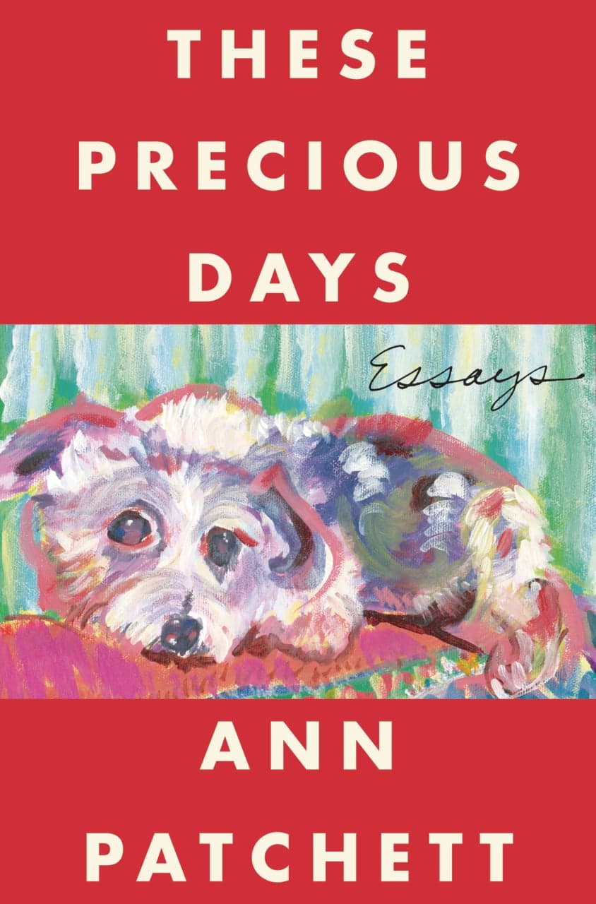 THESE PRECIOUS DAYS by Ann Patchett