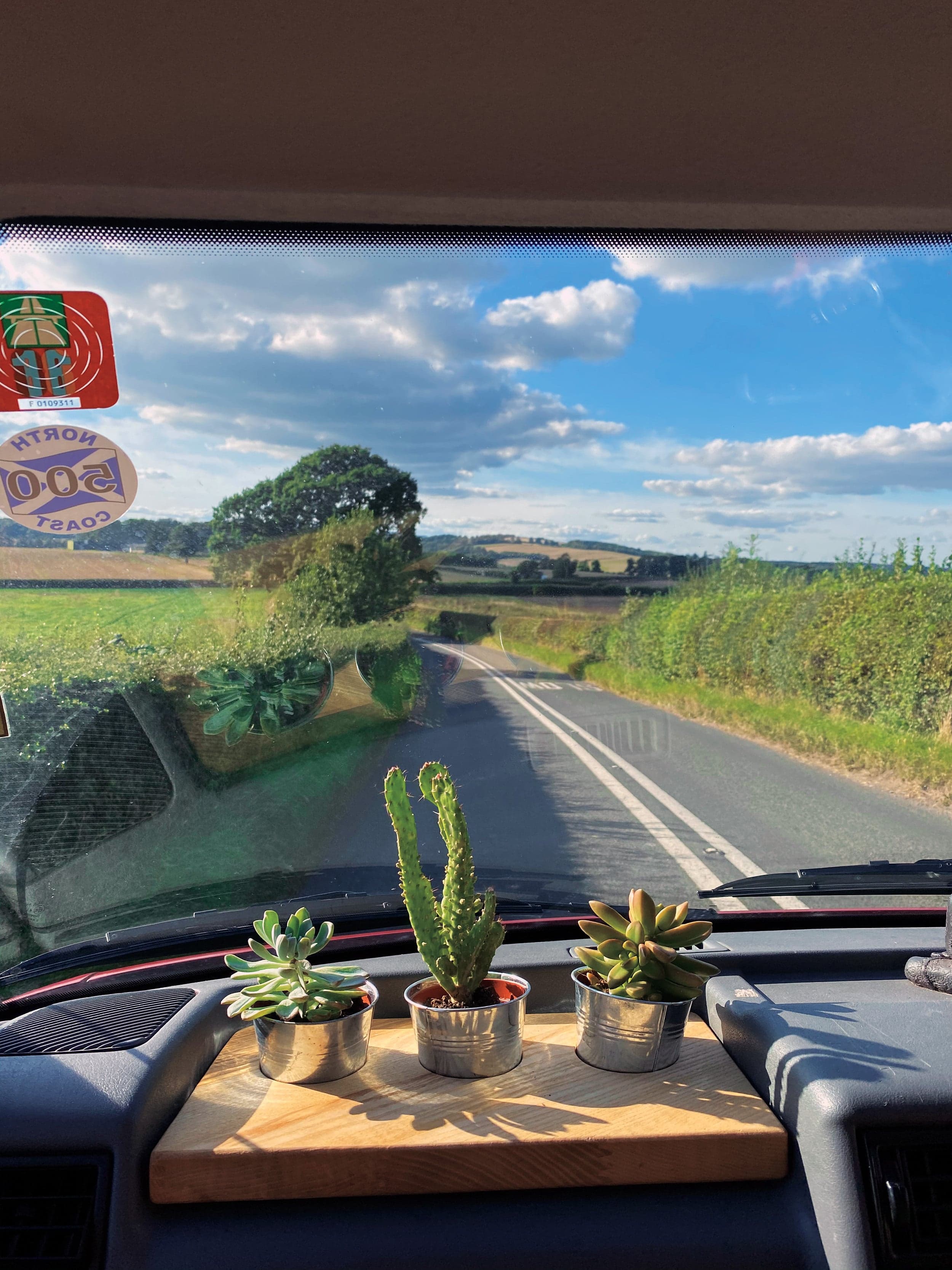 Not enough sunlight at home? Start ‘cardening’—gardening in your car