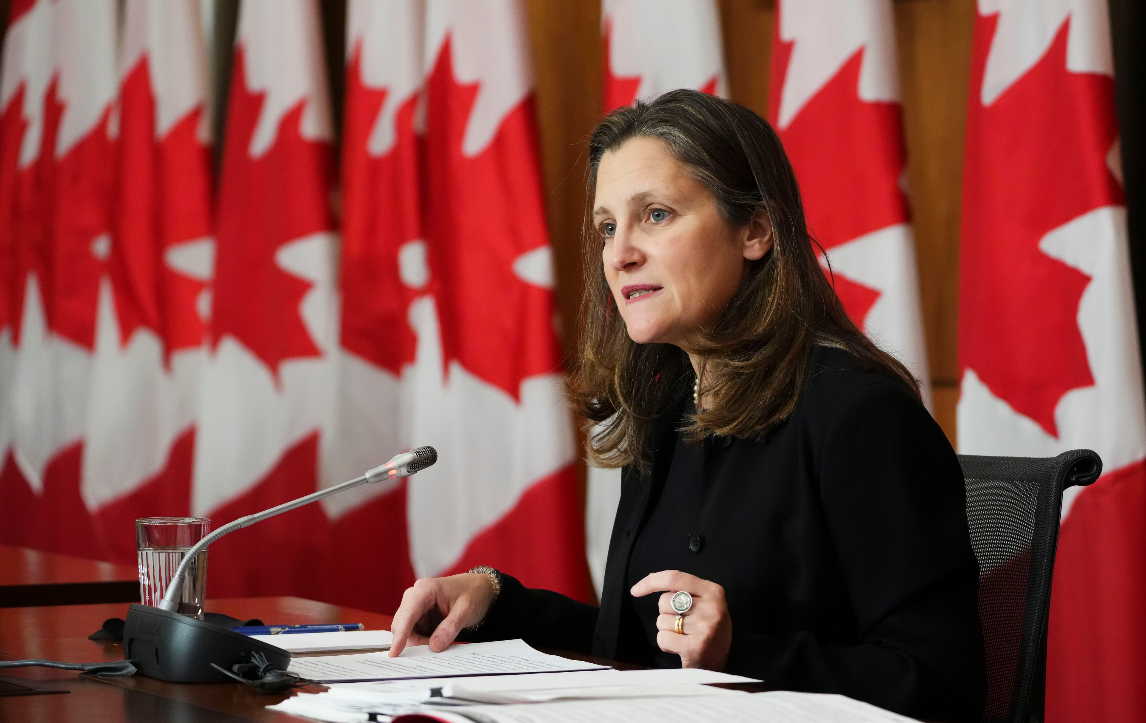 A new Chrystia Freeland biography signals possible Liberal leadership ambitions