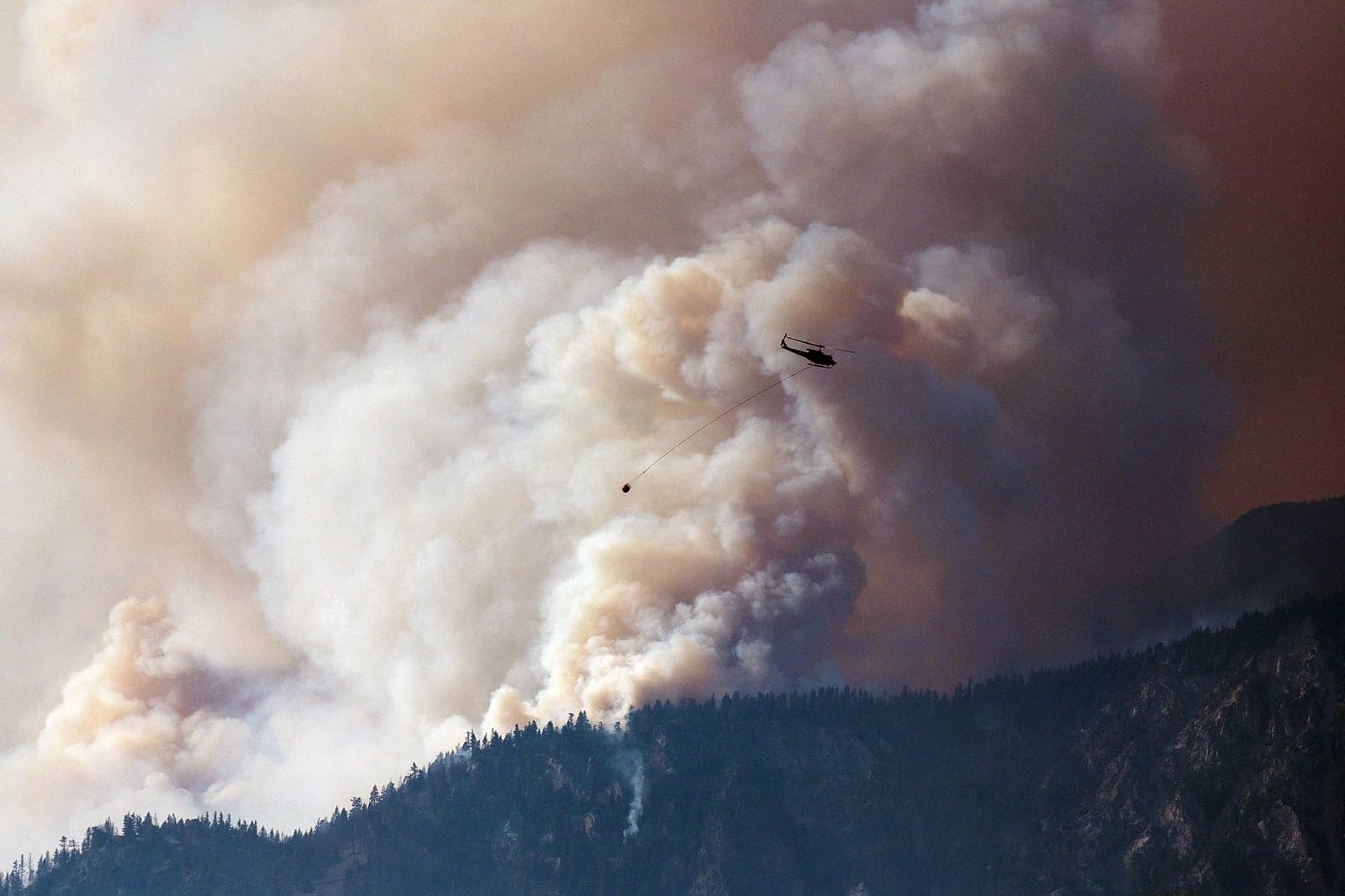 Canadian politicians won't be able to ignore climate change in 2022