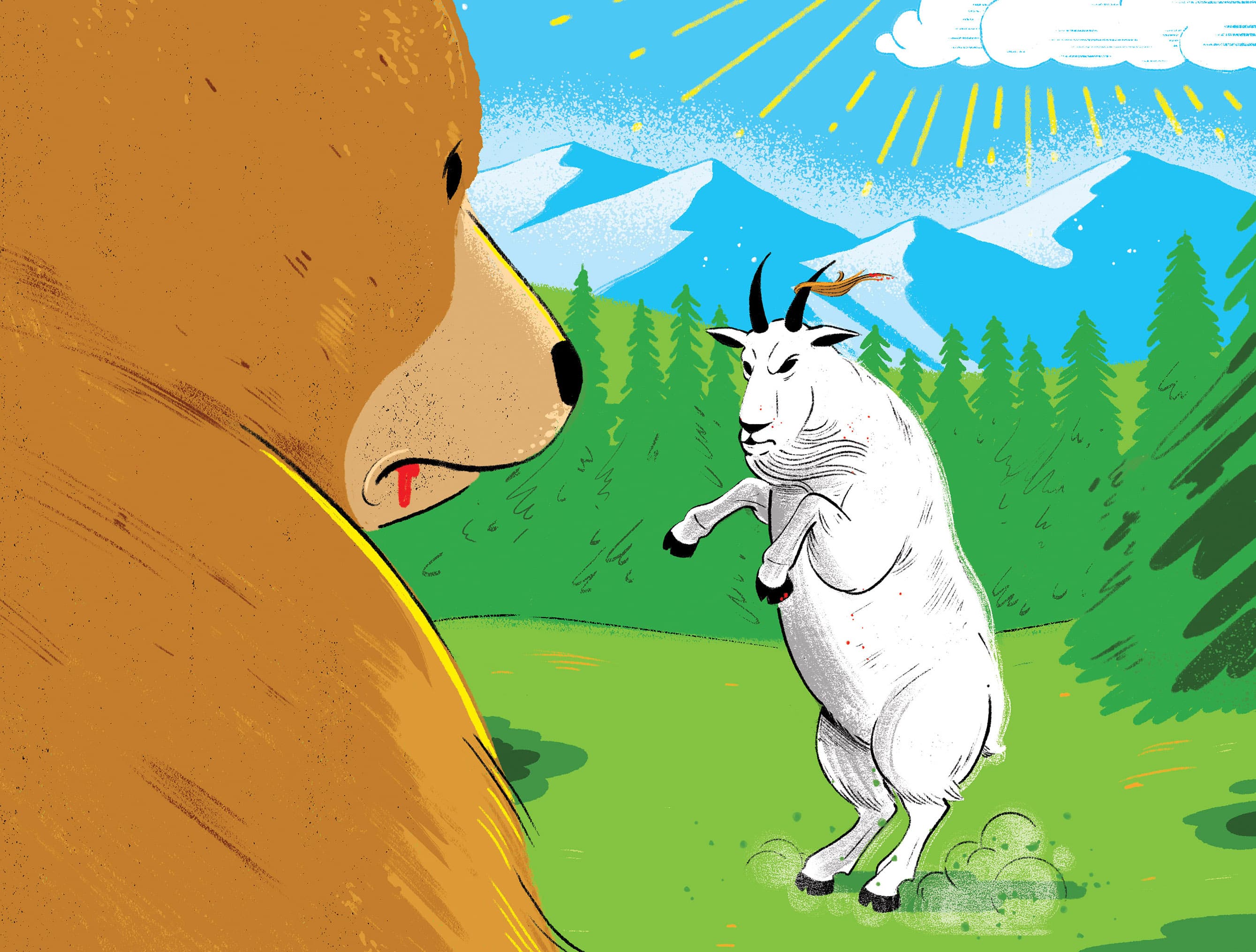 (Illustration by Alex Fine)