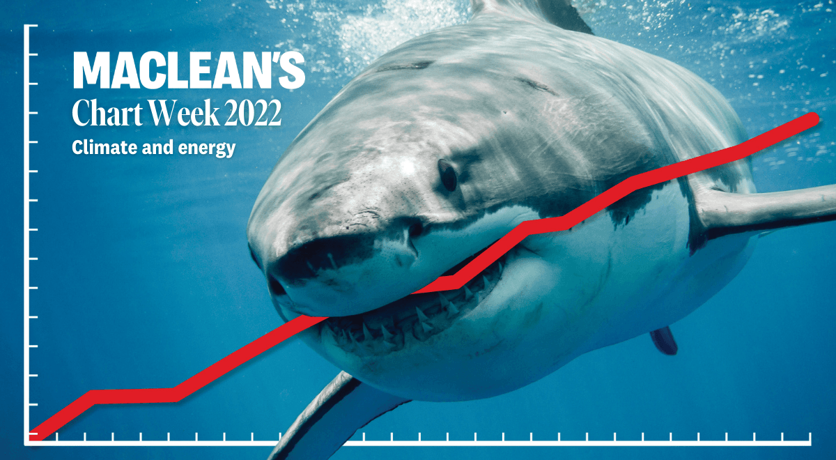 Eight charts to watch on climate and energy in 2022