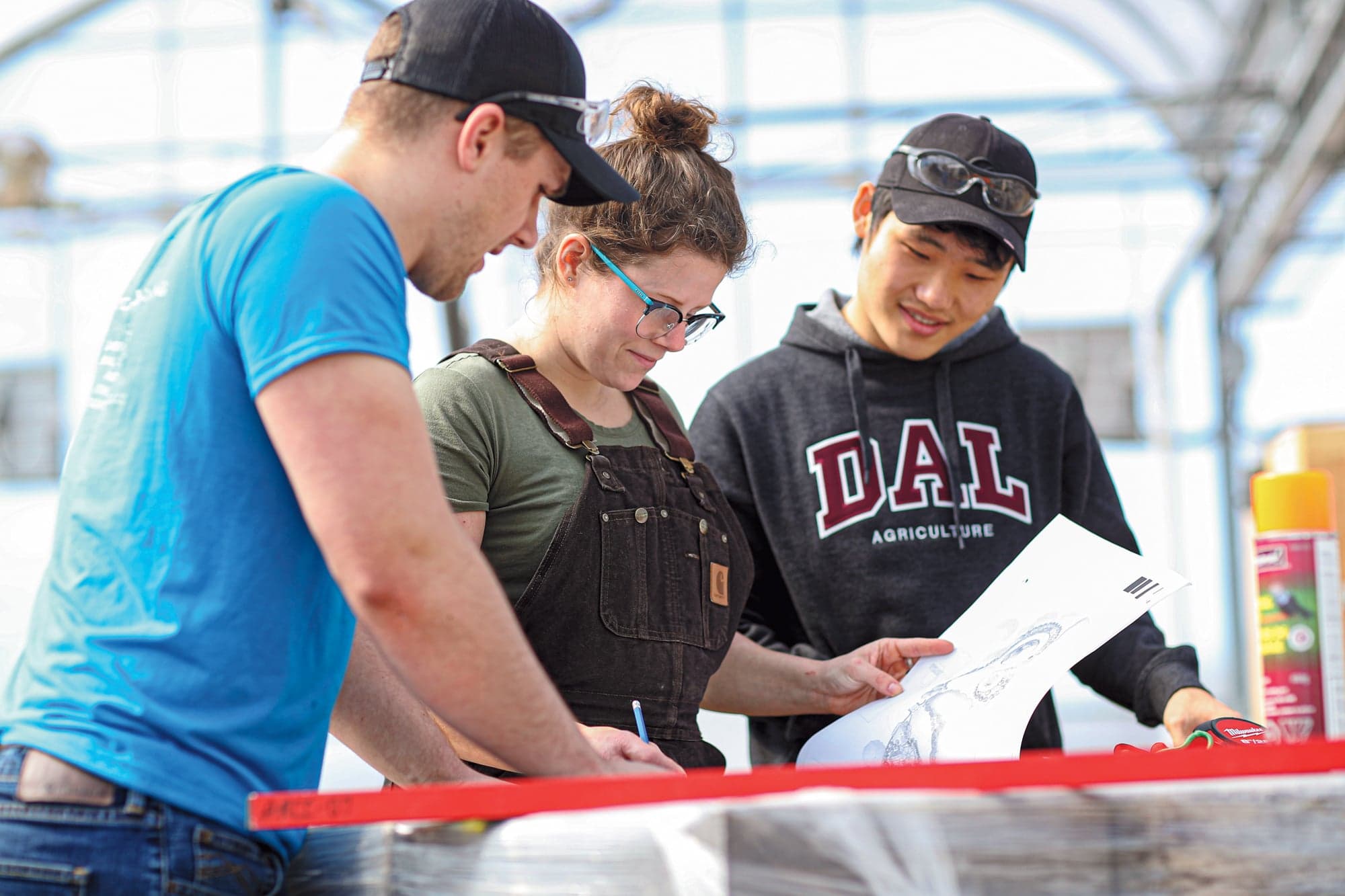 Dalhousie University: Student life on campus