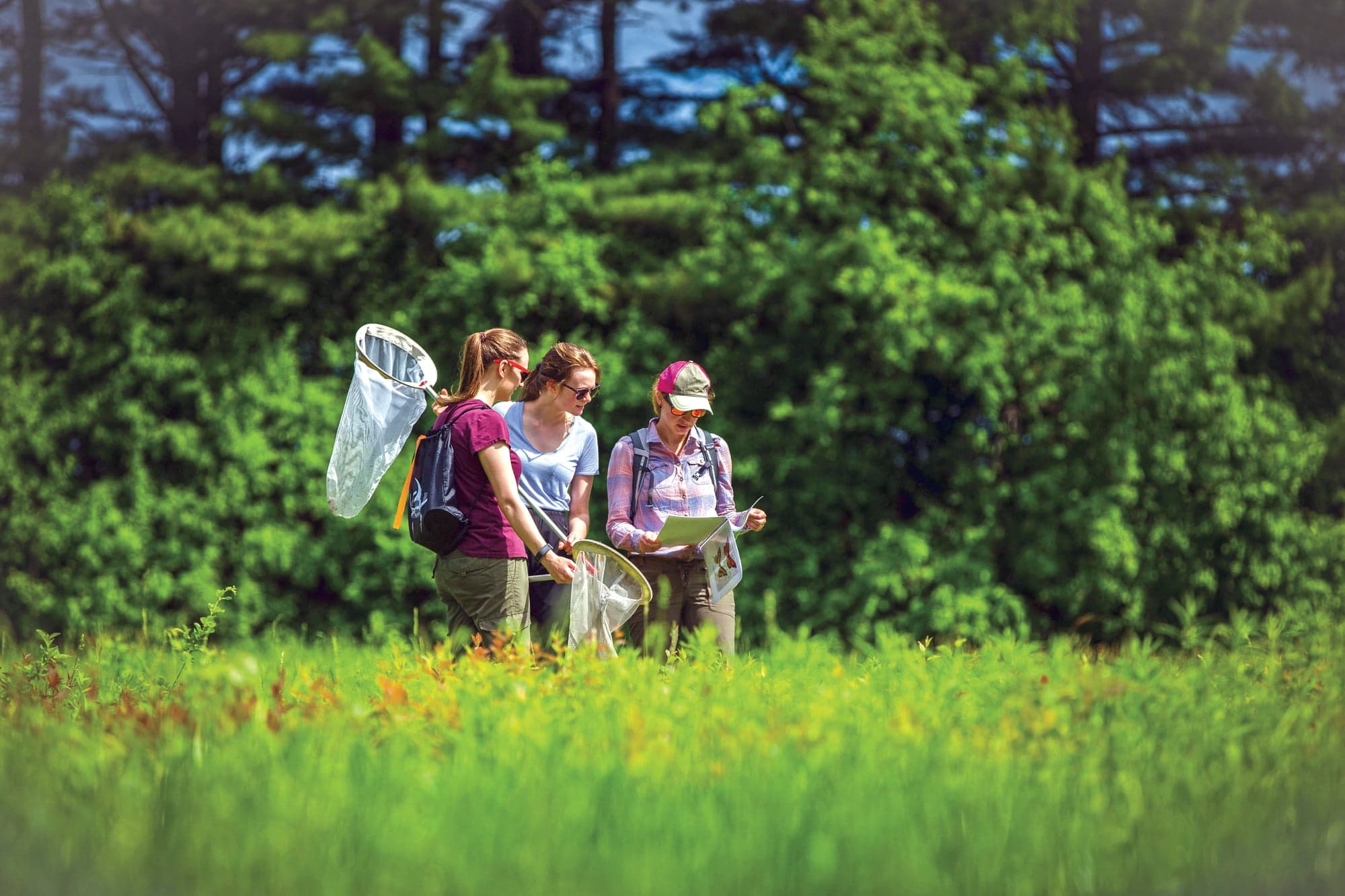 University of Ottawa: Student life on campus