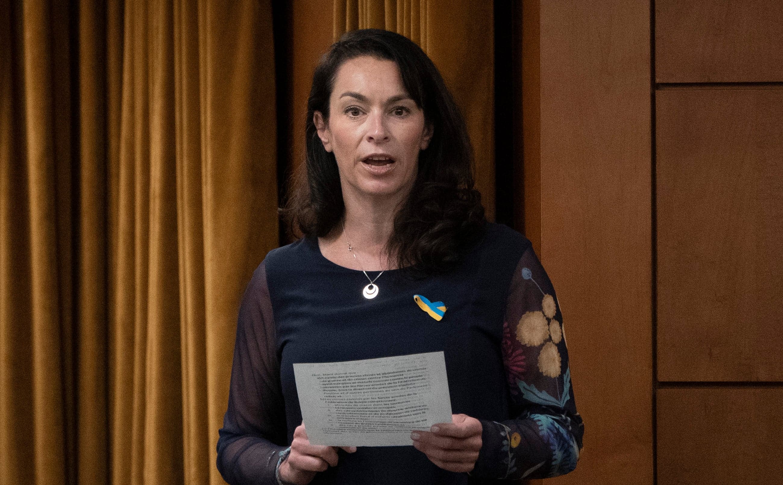MPs declare Ukraine invasion an act of genocide