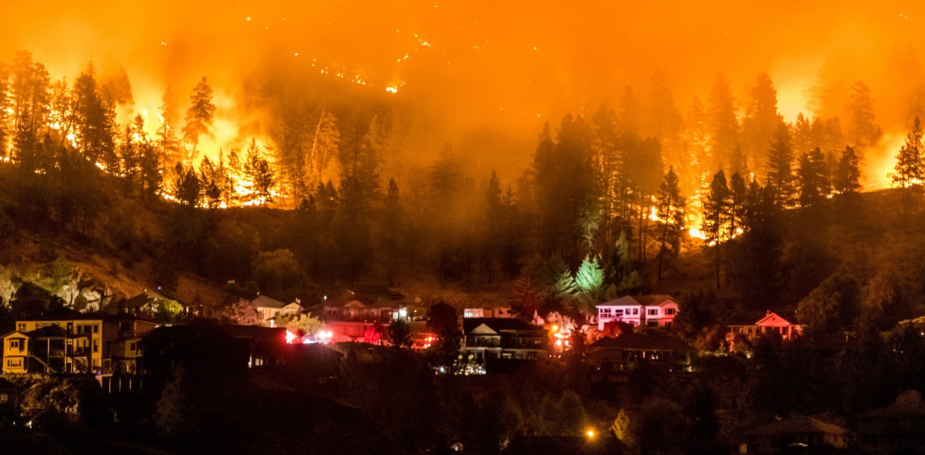 The Age of Wildfires