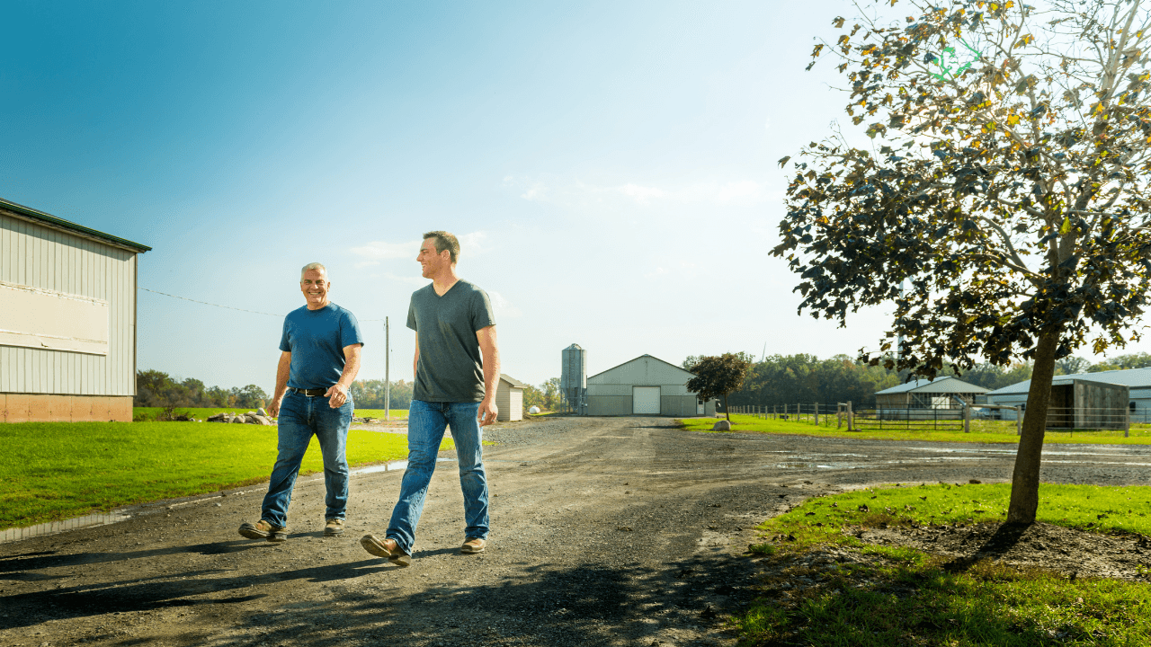 How Canadian egg farmers are making strides in sustainable agriculture