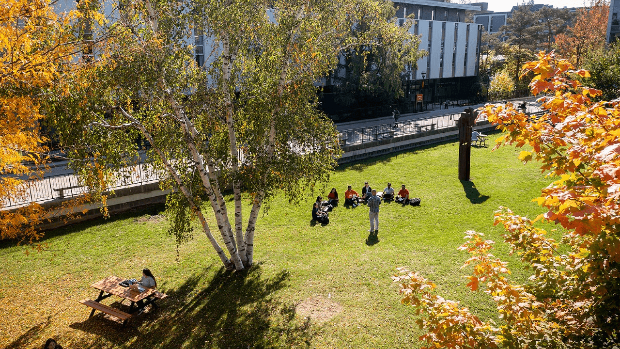 Five reasons why Carleton University gets top marks for student satisfaction