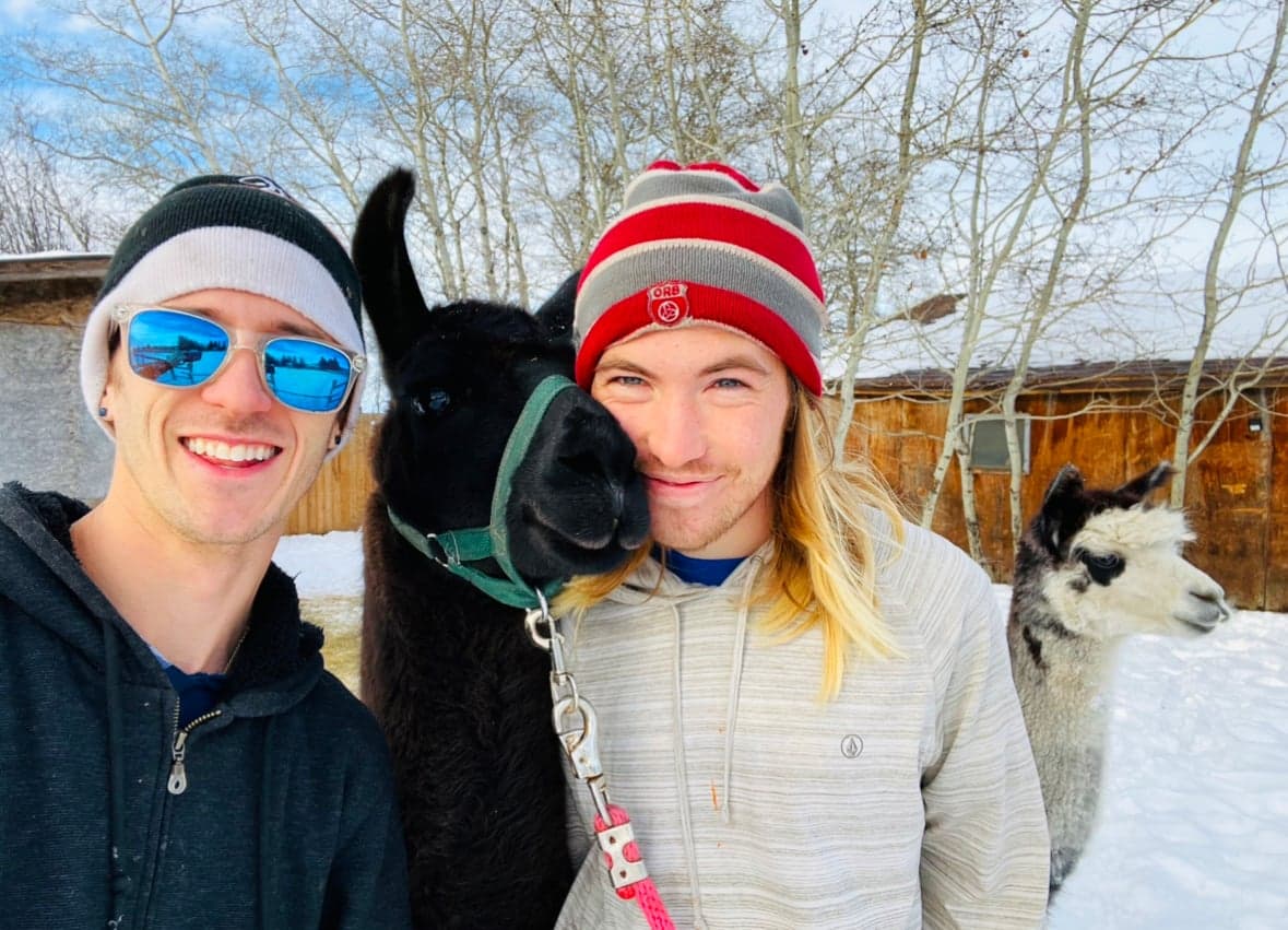 Our farm’s rescue animals have become TikTok stars