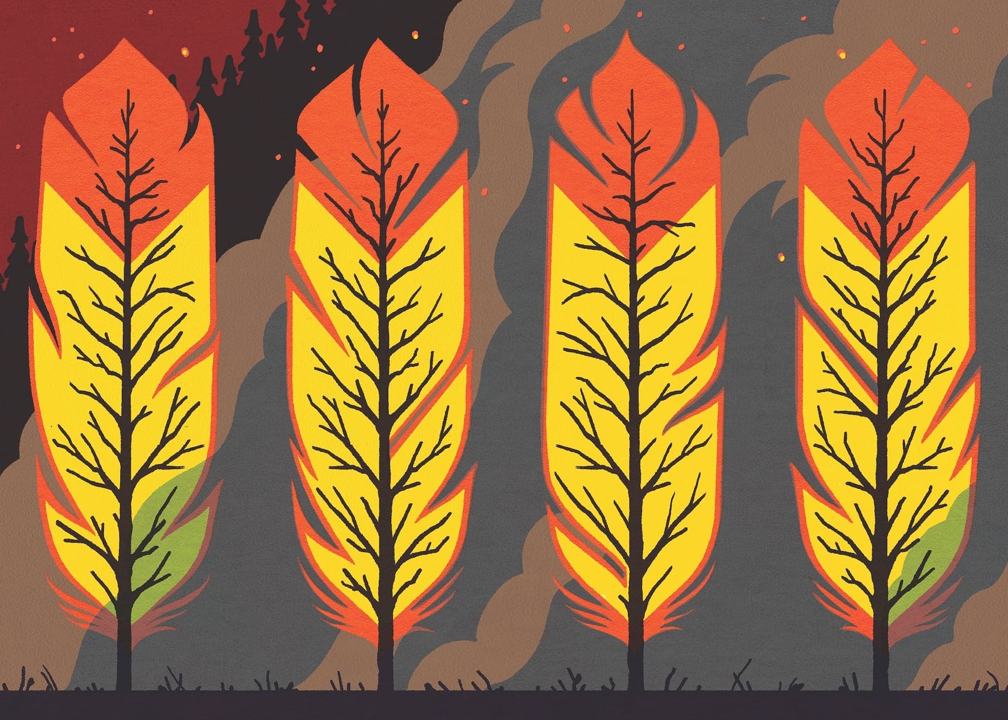 Big Idea: To fight wildfires, bring back preventative burns