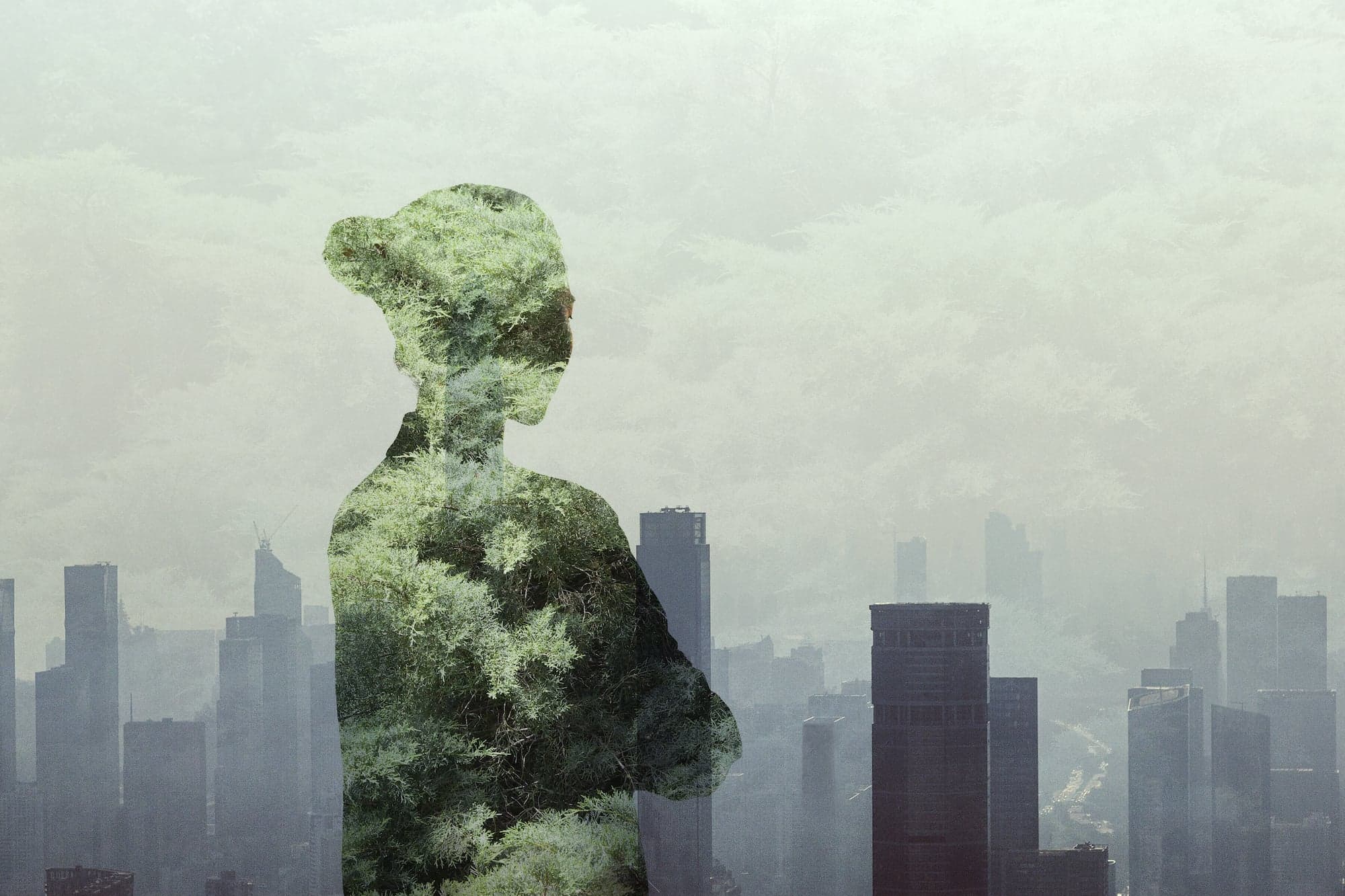 Climate change is here to stay—and climate therapy might be too