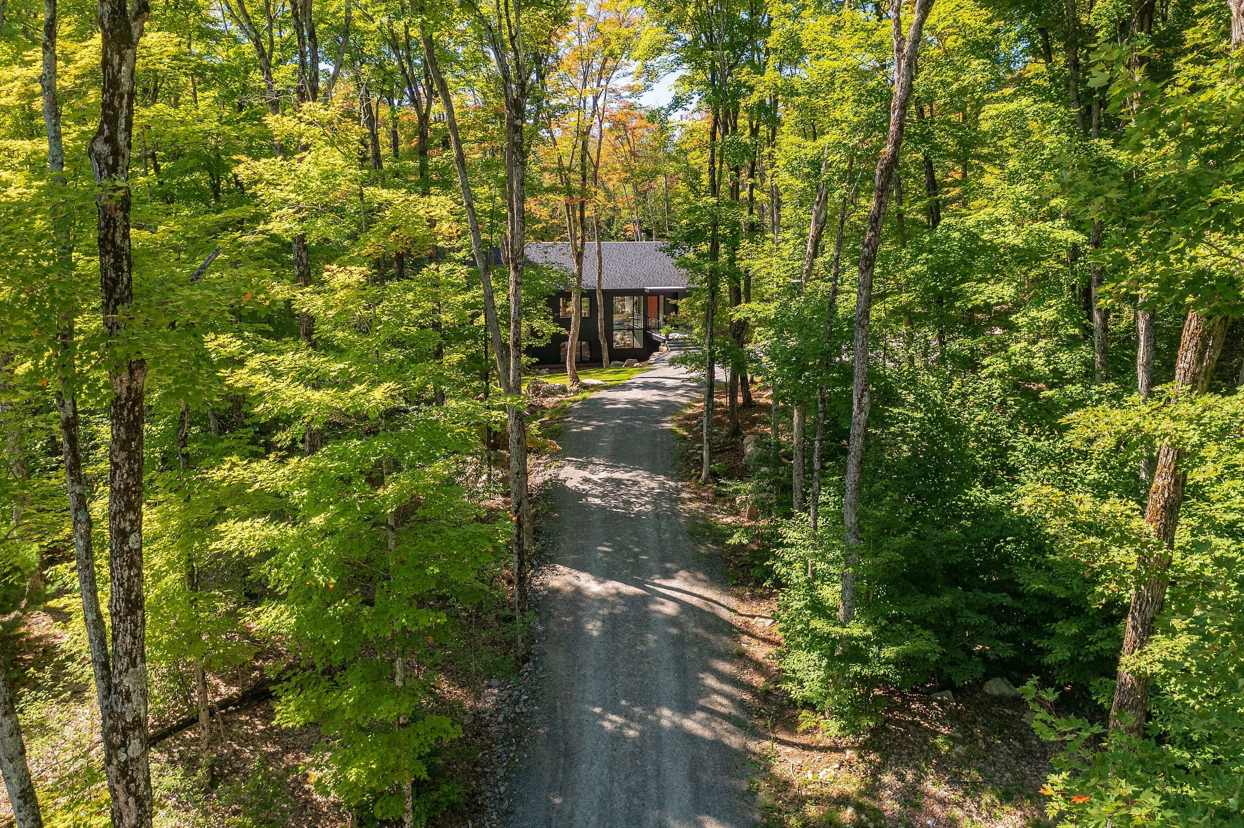 This modern home stands out in the Muskoka woods