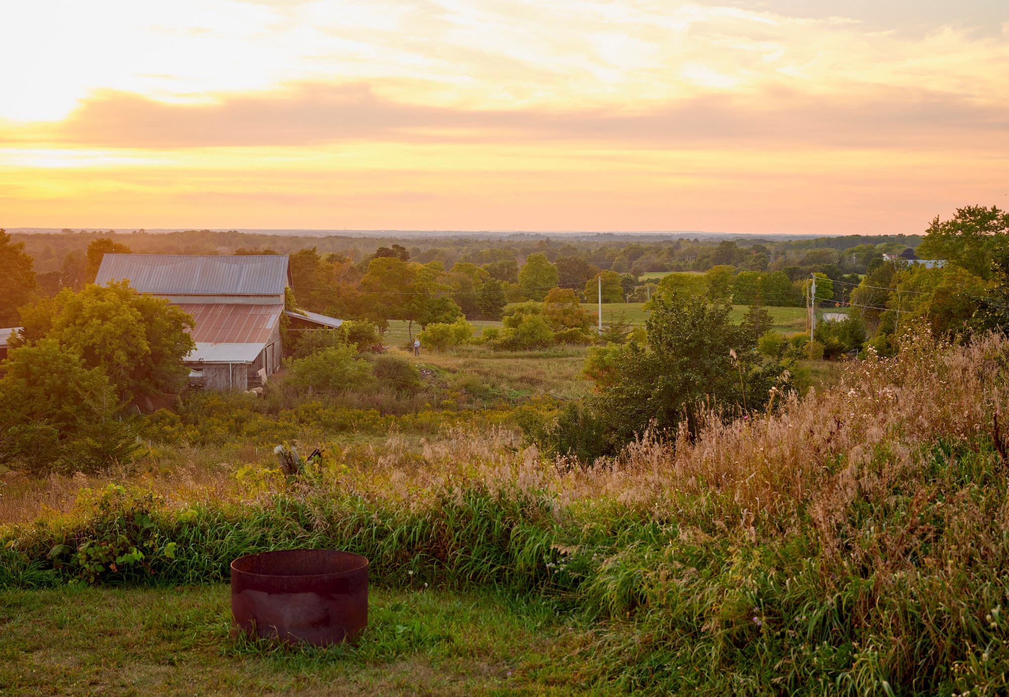 Where to eat, drink, play and stay in Prince Edward County
