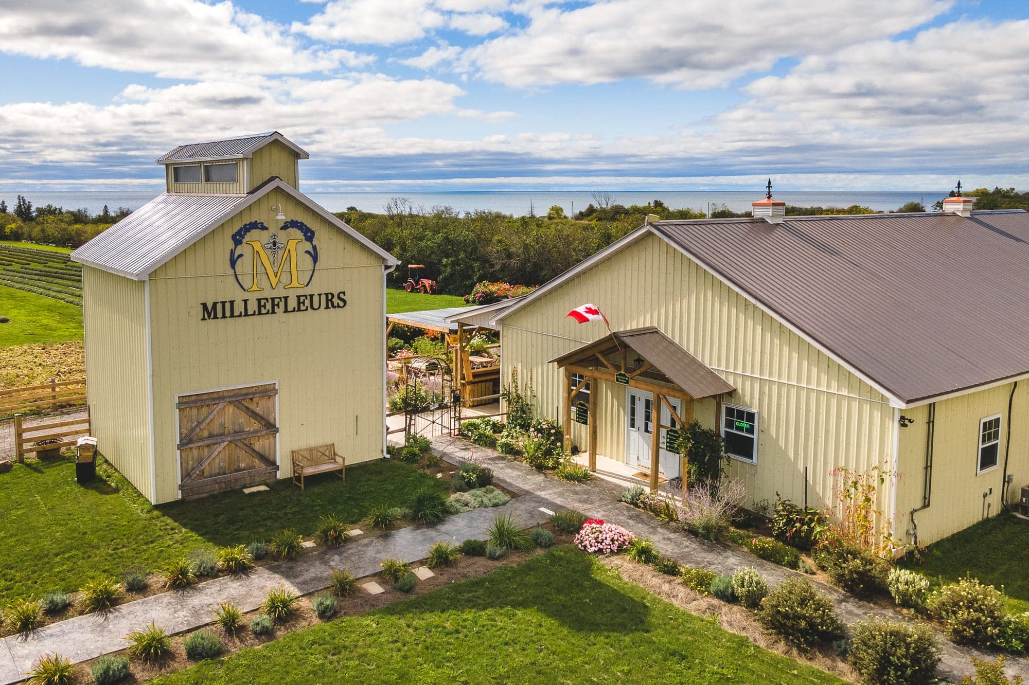 Millefleurs lavender farm in Prince Edward County, Ontario