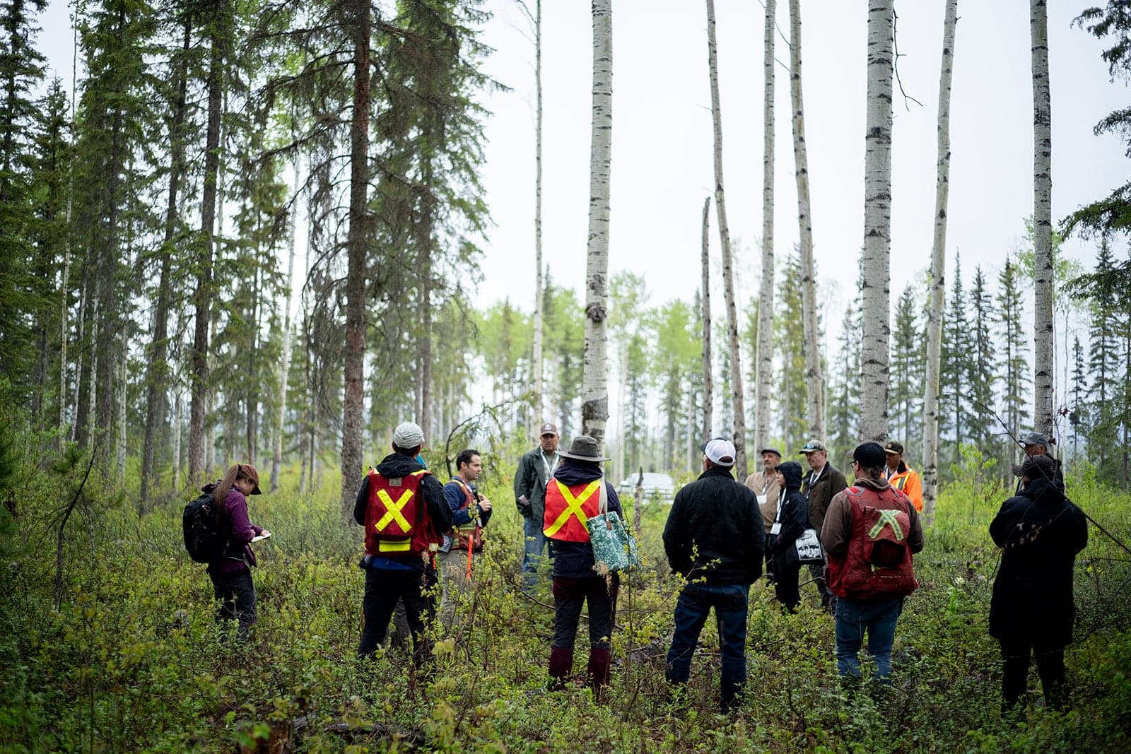 Building Resiliency Against Wildfires