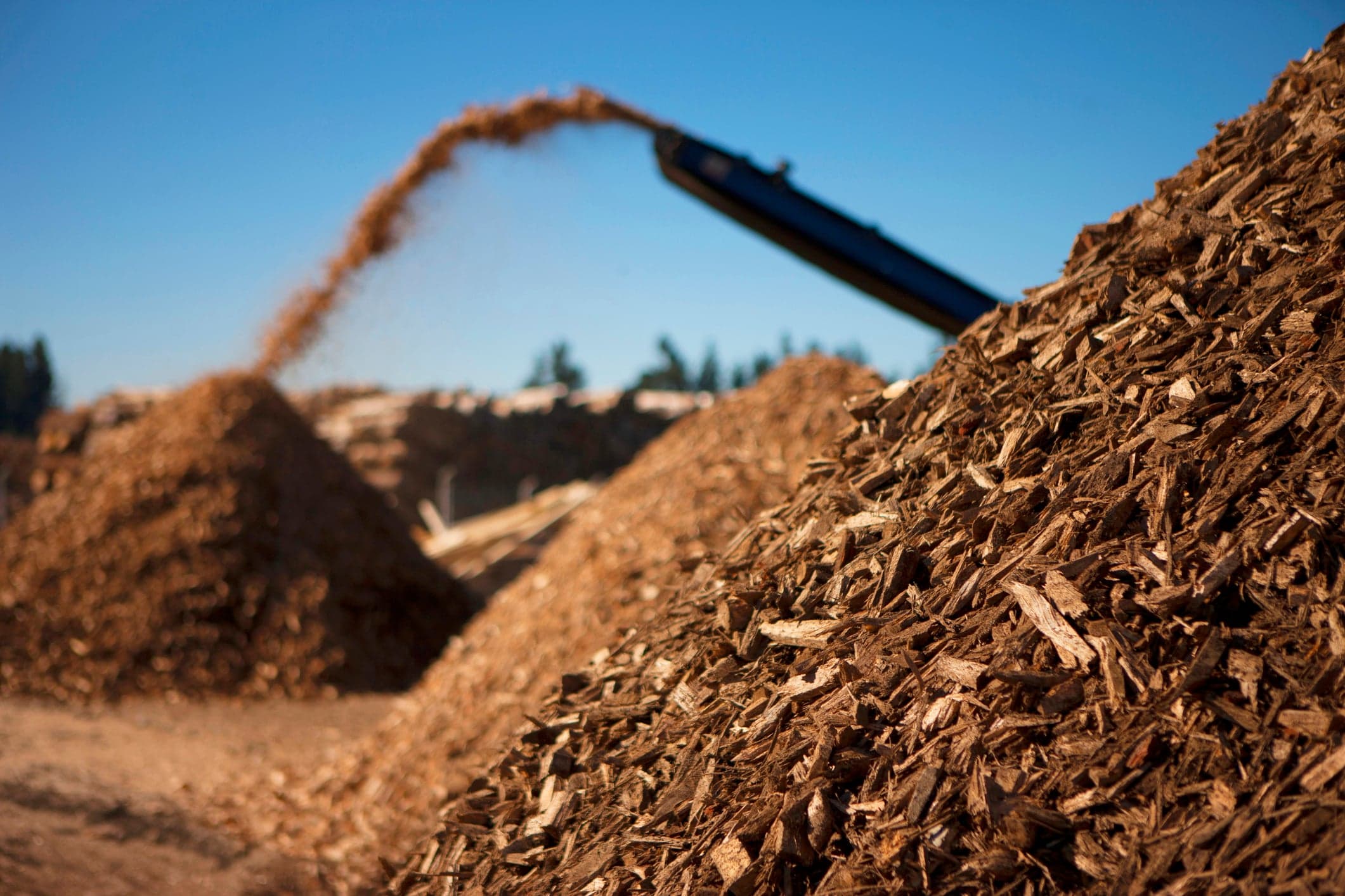 How Bioenergy and the Forest Sector Can Help Meet Canada's Energy Demands