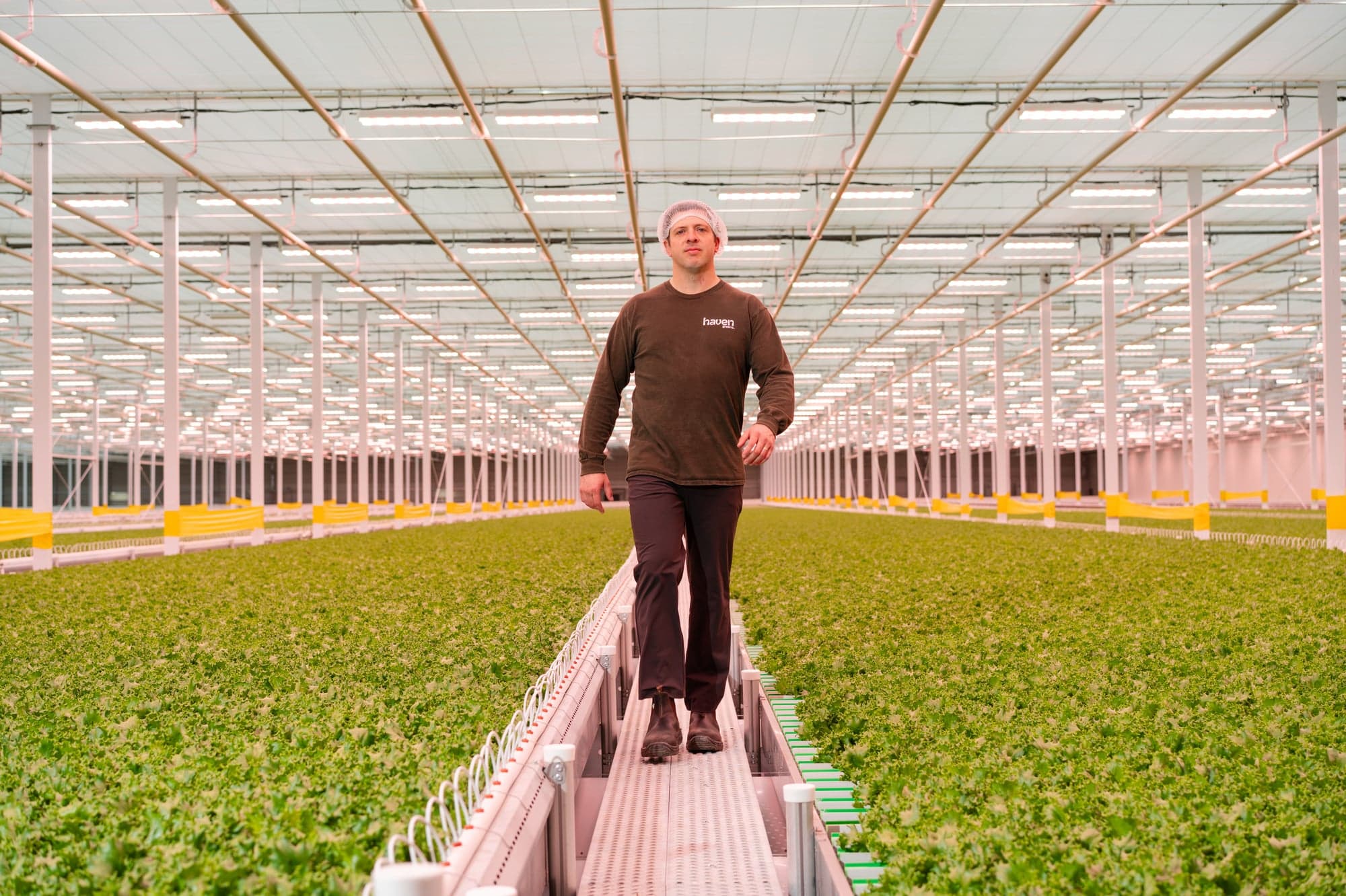 Boycotting U.S. Lettuce? Here's How.