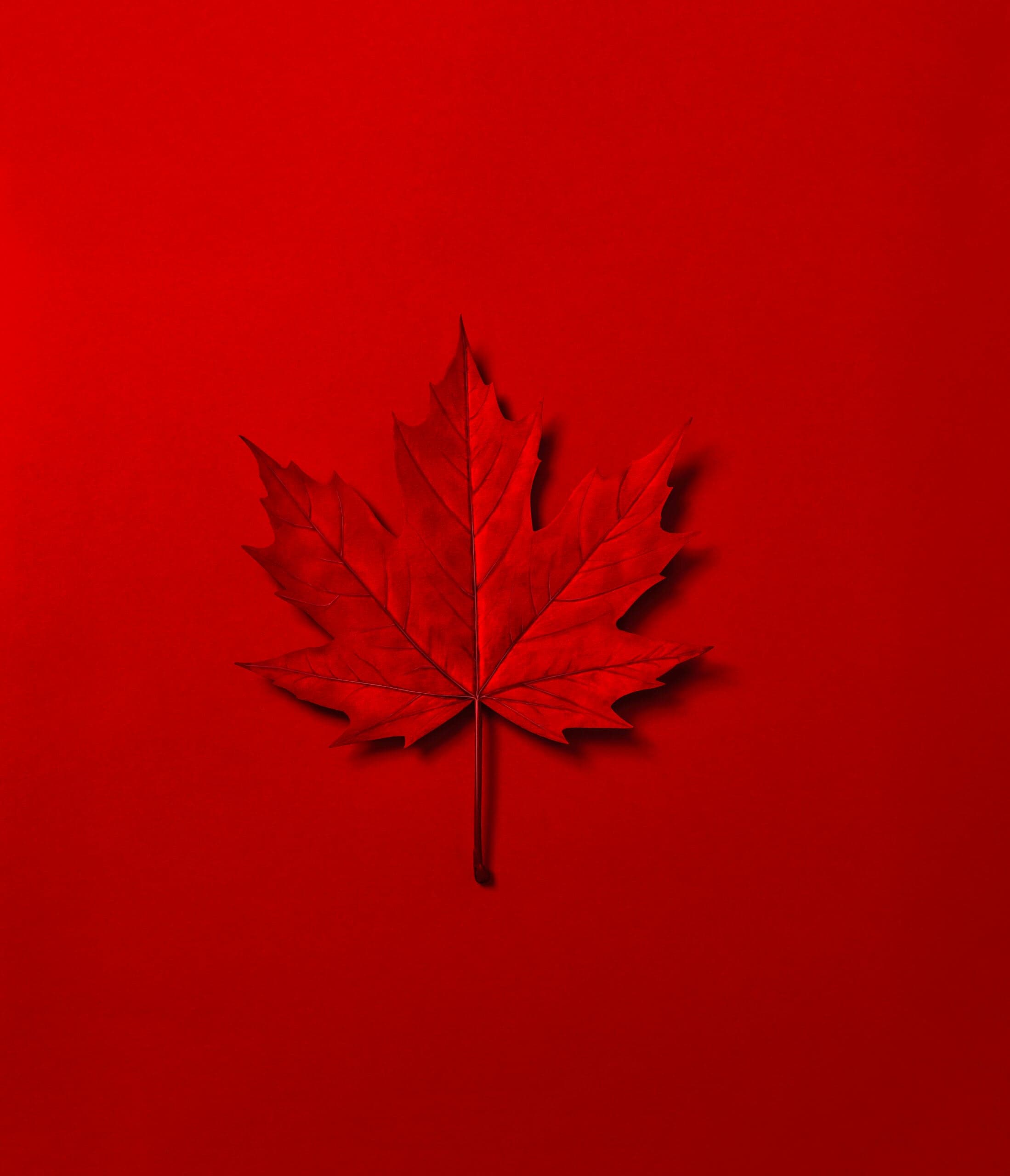 Canada’s New Nationalism