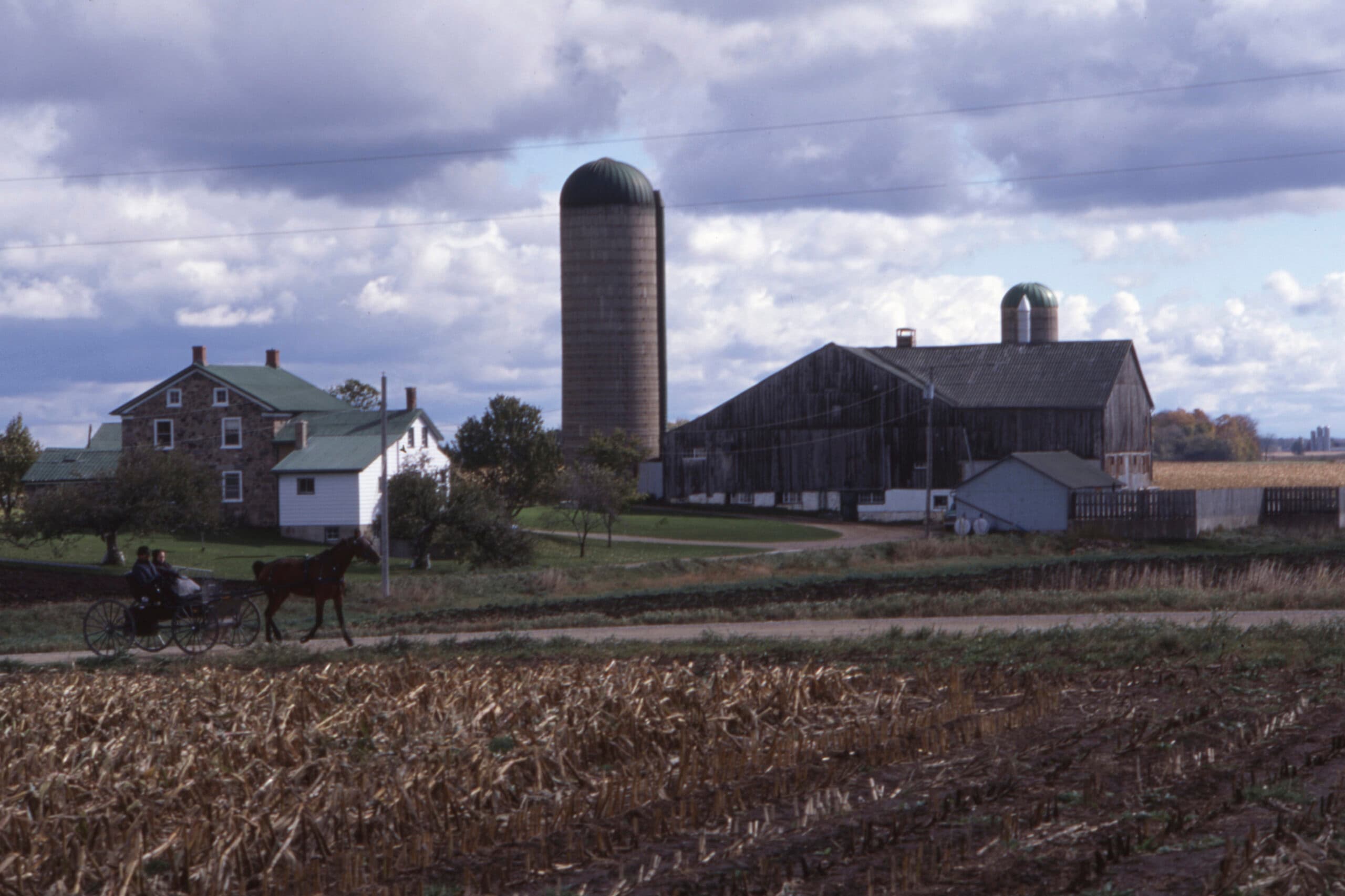Behind the Scenes of Ontario’s Mennonite Measles Outbreak