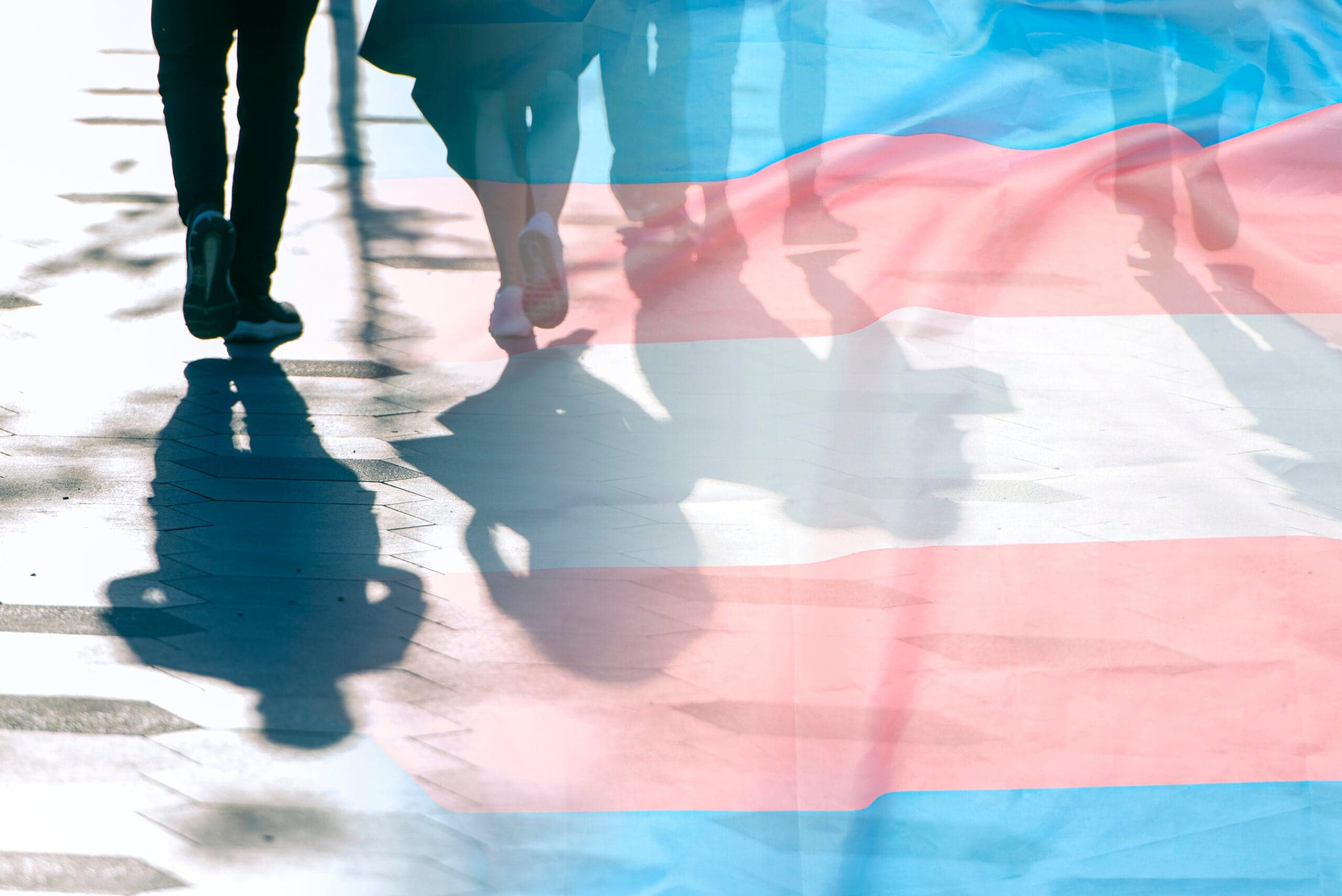 Should Canada Give Asylum to Trans Americans?
