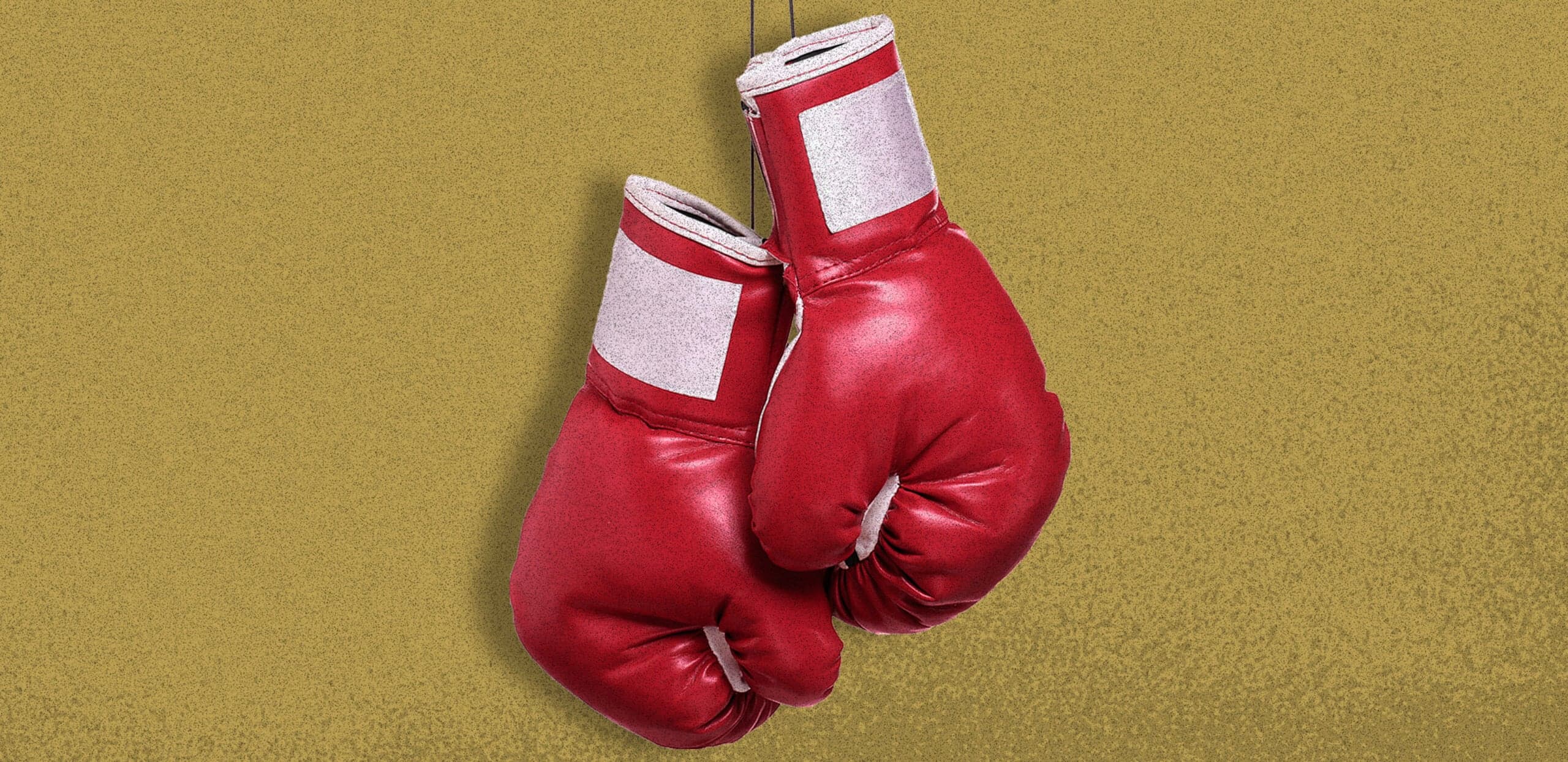 How to Fight Back