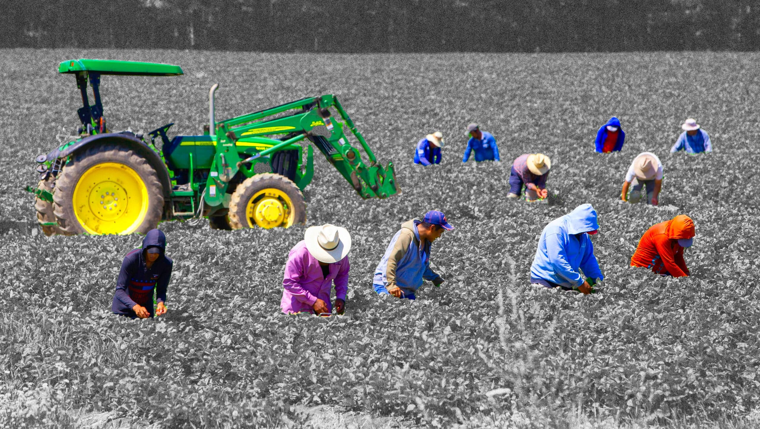 Canada Runs on Serf Labour