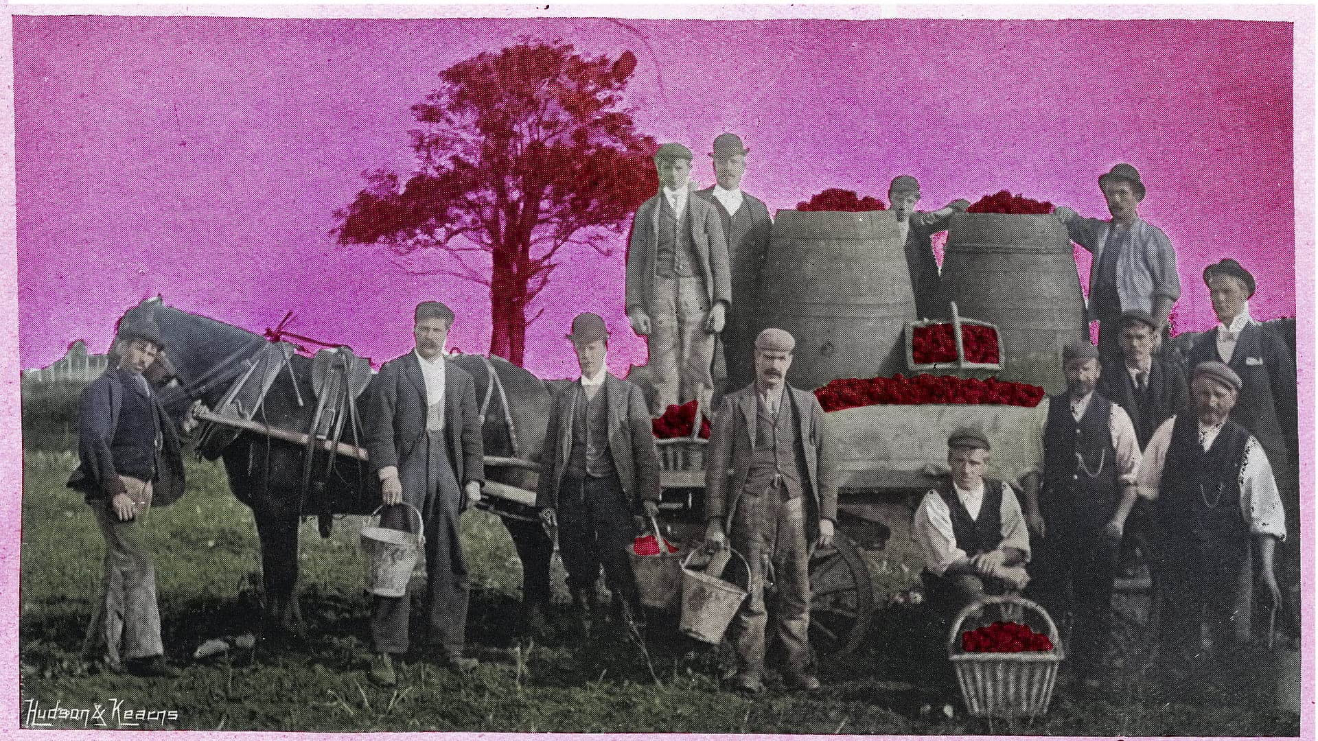 The Quest for Canadian Wine Sovereignty