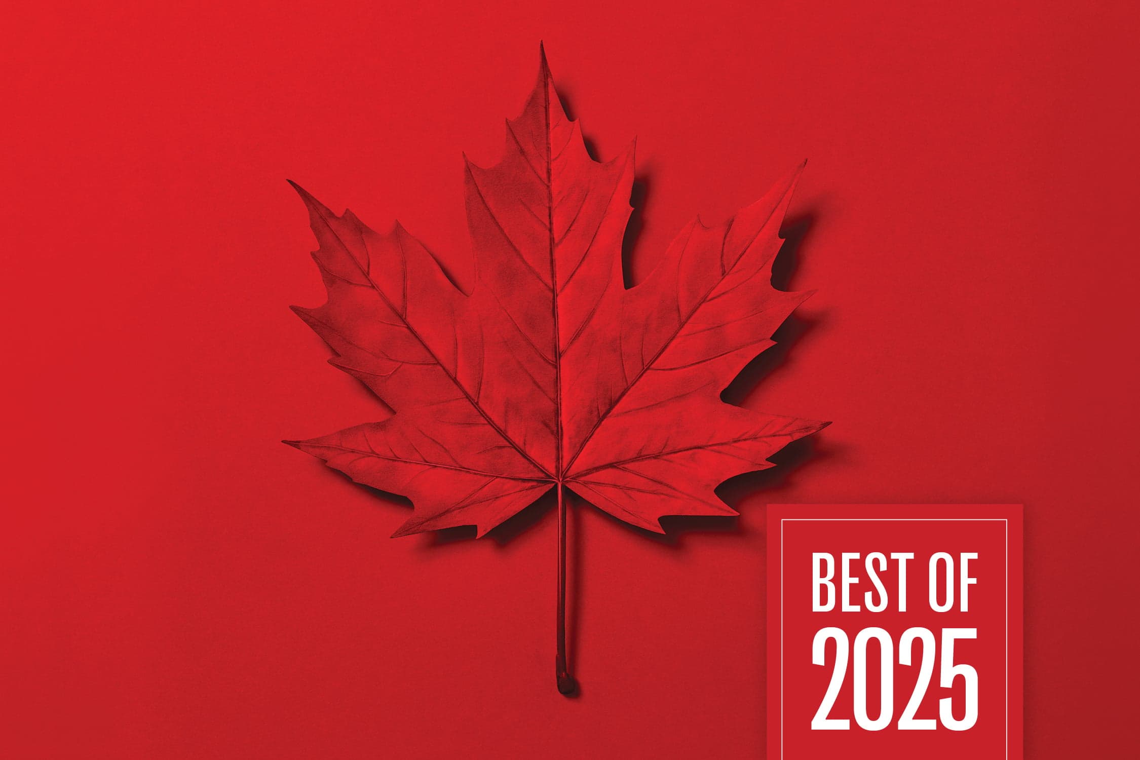 The Best of 2025: Maclean’s Top 10 Trade-War Stories
