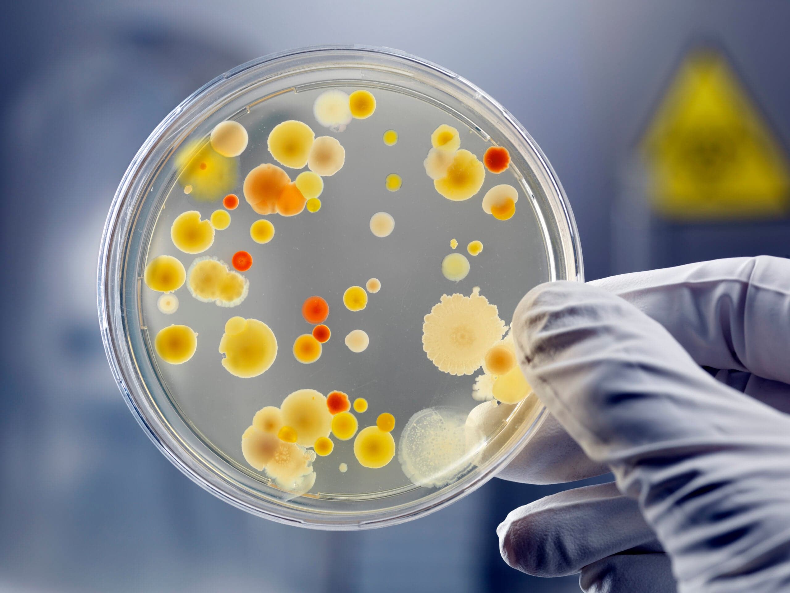 Can Canada Survive Trump’s Attack on Science?