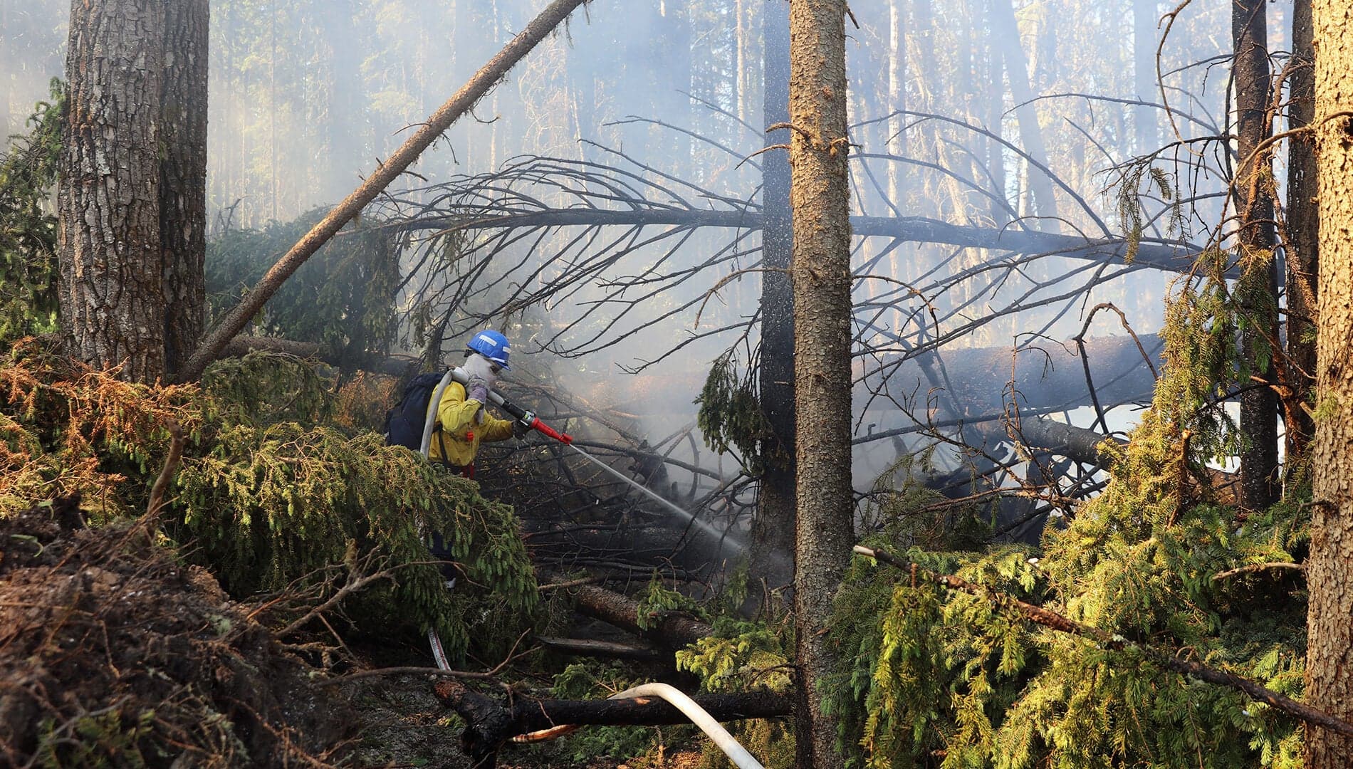Firefighting Is My Family Business