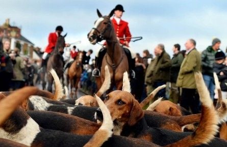 Boxing Day Hunt 2013