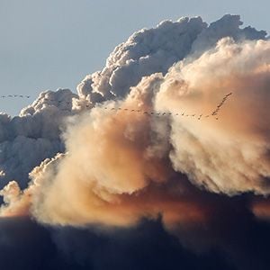 A flock of birds fly as smoke billows from the Fort McMurray wildfires in Kinosis